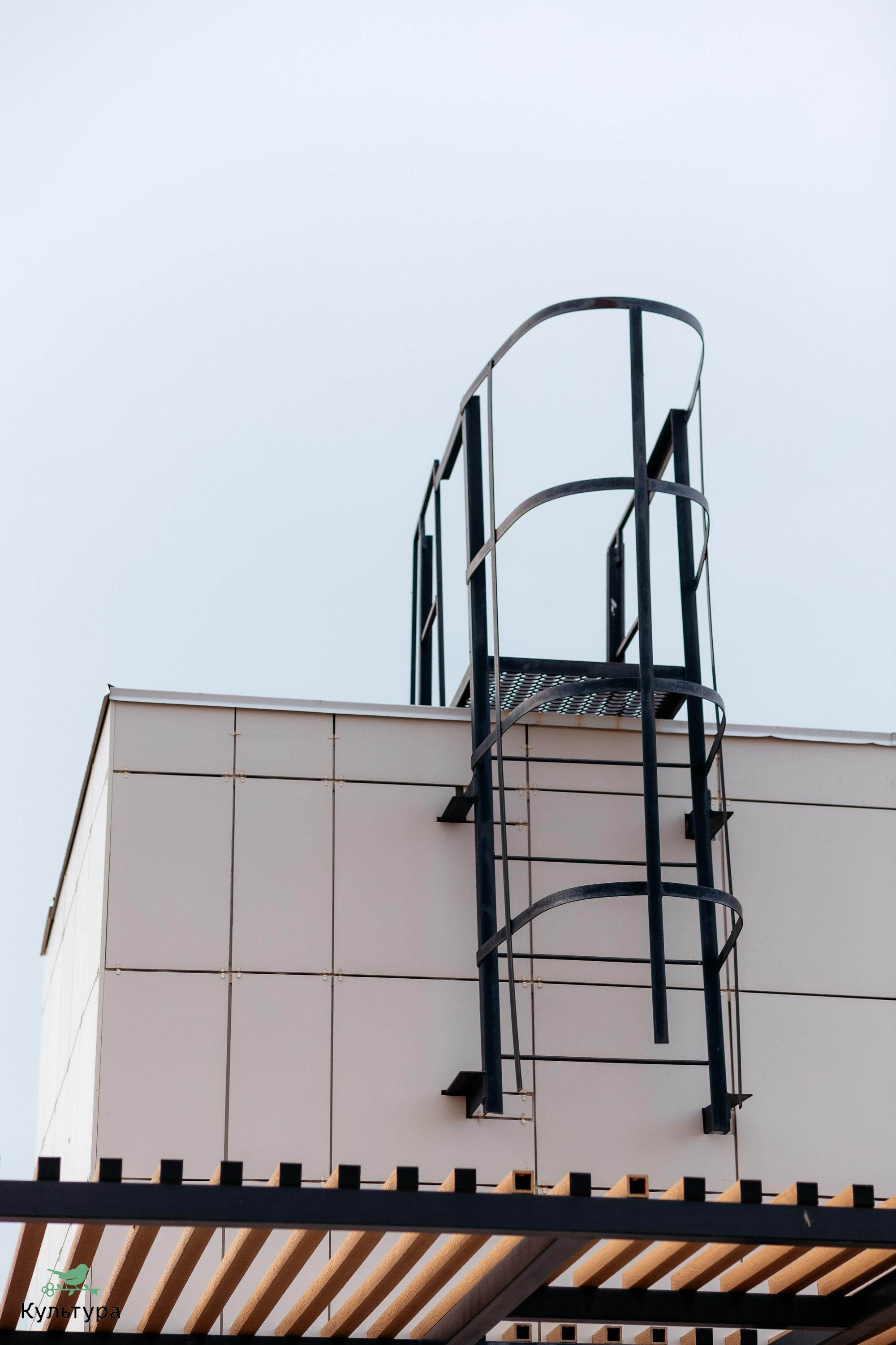 ЖК КУЛЬТУРА [КУЛЬТУРОЖИТЕЛИ]. СВОИ. ФОТООТЧЕТЫ-СОБЫТИЯ-МЕСТА