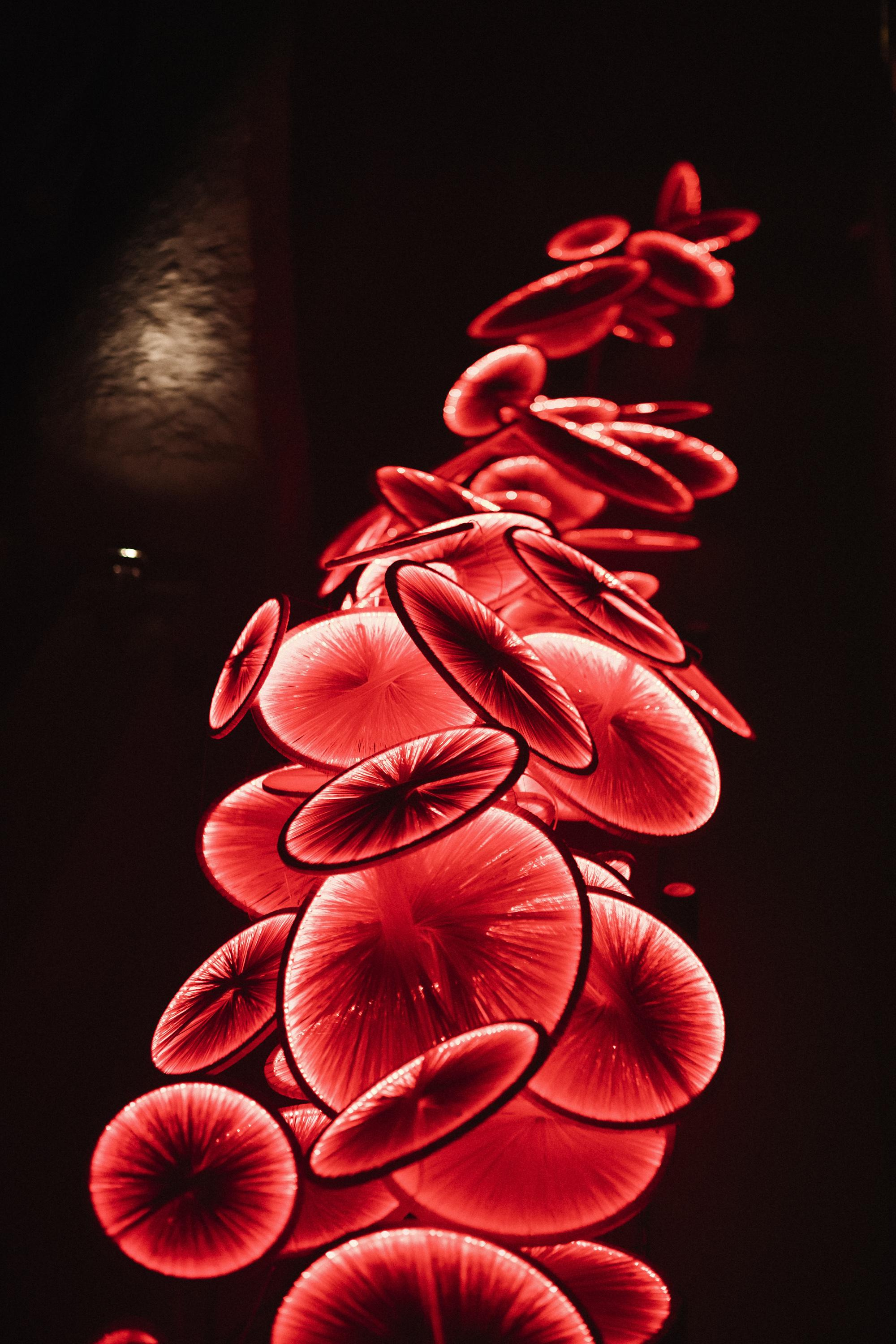 HANAMI [ГАЛА-УЖИН]. СВОИ. ФОТООТЧЕТЫ-СОБЫТИЯ-МЕСТА