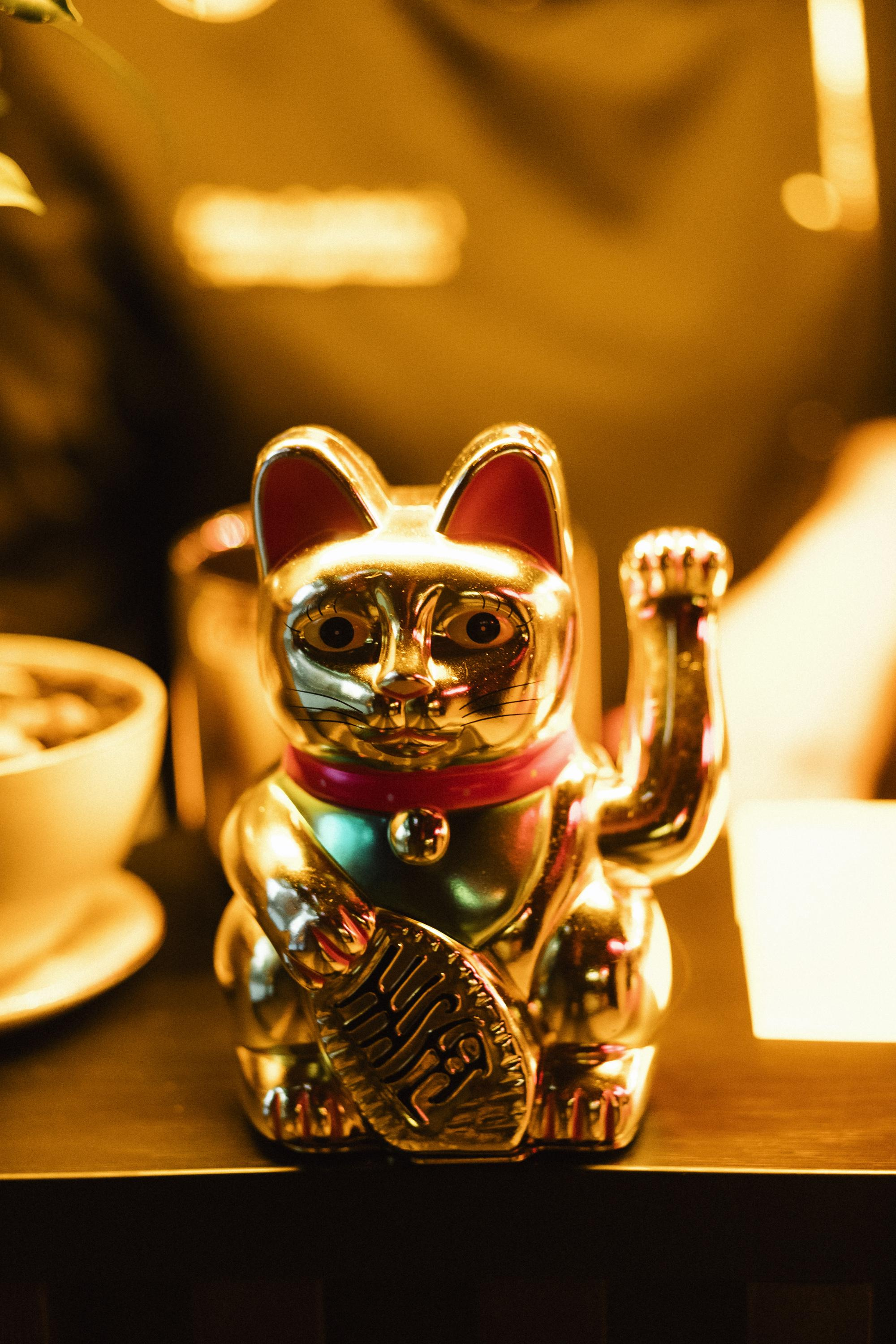 HANAMI [ГАЛА-УЖИН]. СВОИ. ФОТООТЧЕТЫ-СОБЫТИЯ-МЕСТА