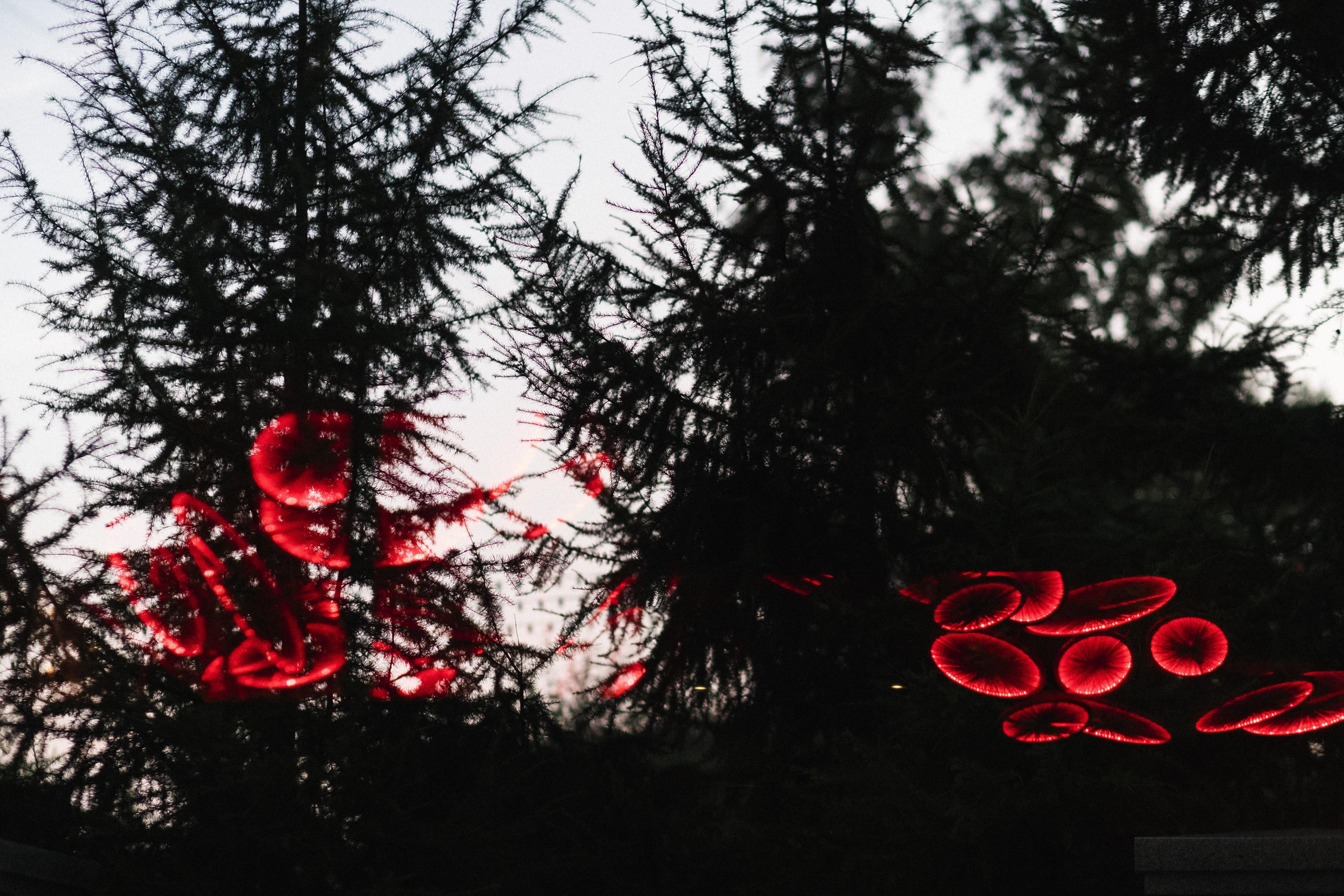 HANAMI [ГАЛА-УЖИН]. СВОИ. ФОТООТЧЕТЫ-СОБЫТИЯ-МЕСТА