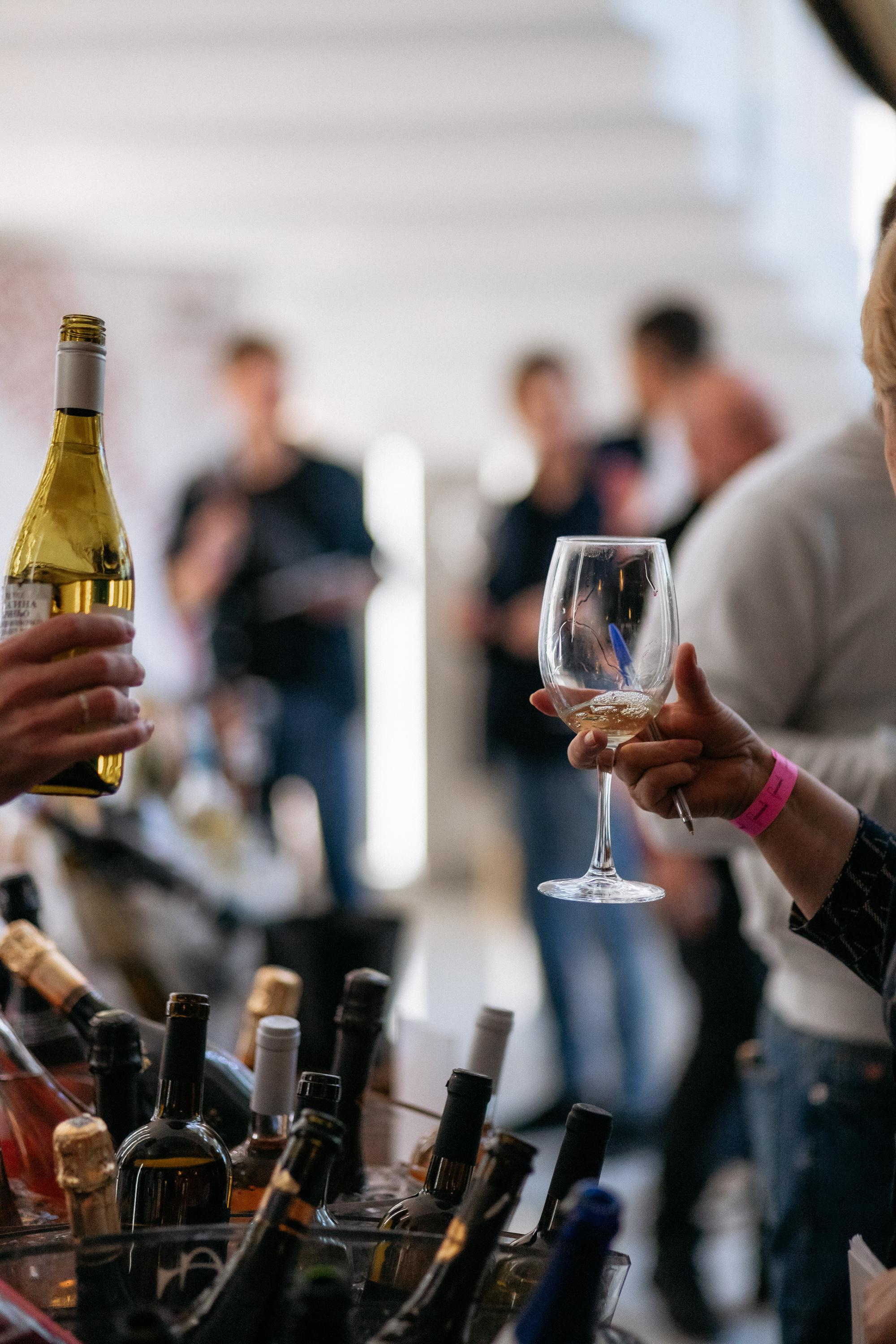 BIGATI FEST. СВОИ. ФОТООТЧЕТЫ-СОБЫТИЯ-МЕСТА