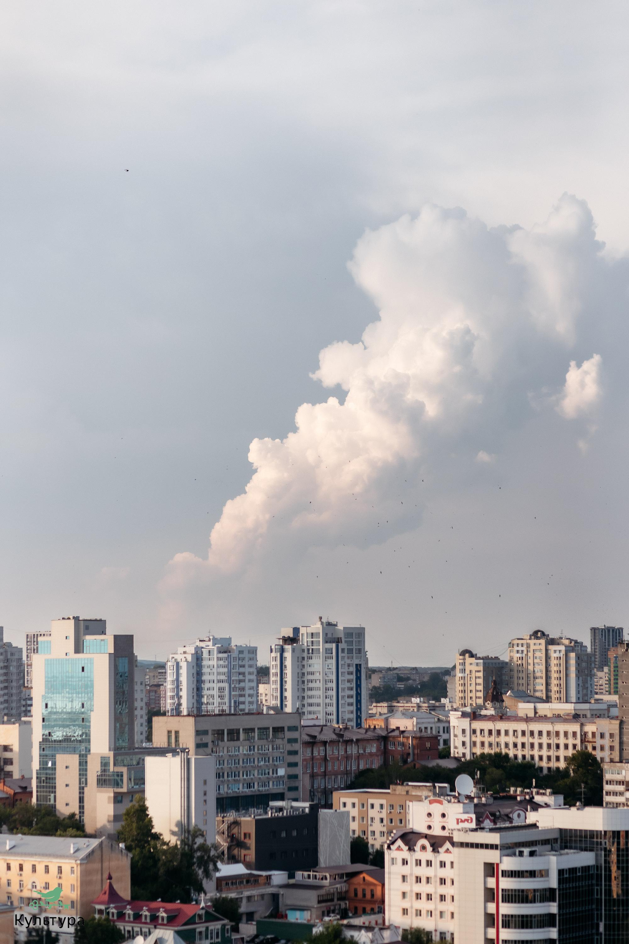 ЖК КУЛЬТУРА [КУЛЬТУРОЖИТЕЛИ]. СВОИ. ФОТООТЧЕТЫ-СОБЫТИЯ-МЕСТА