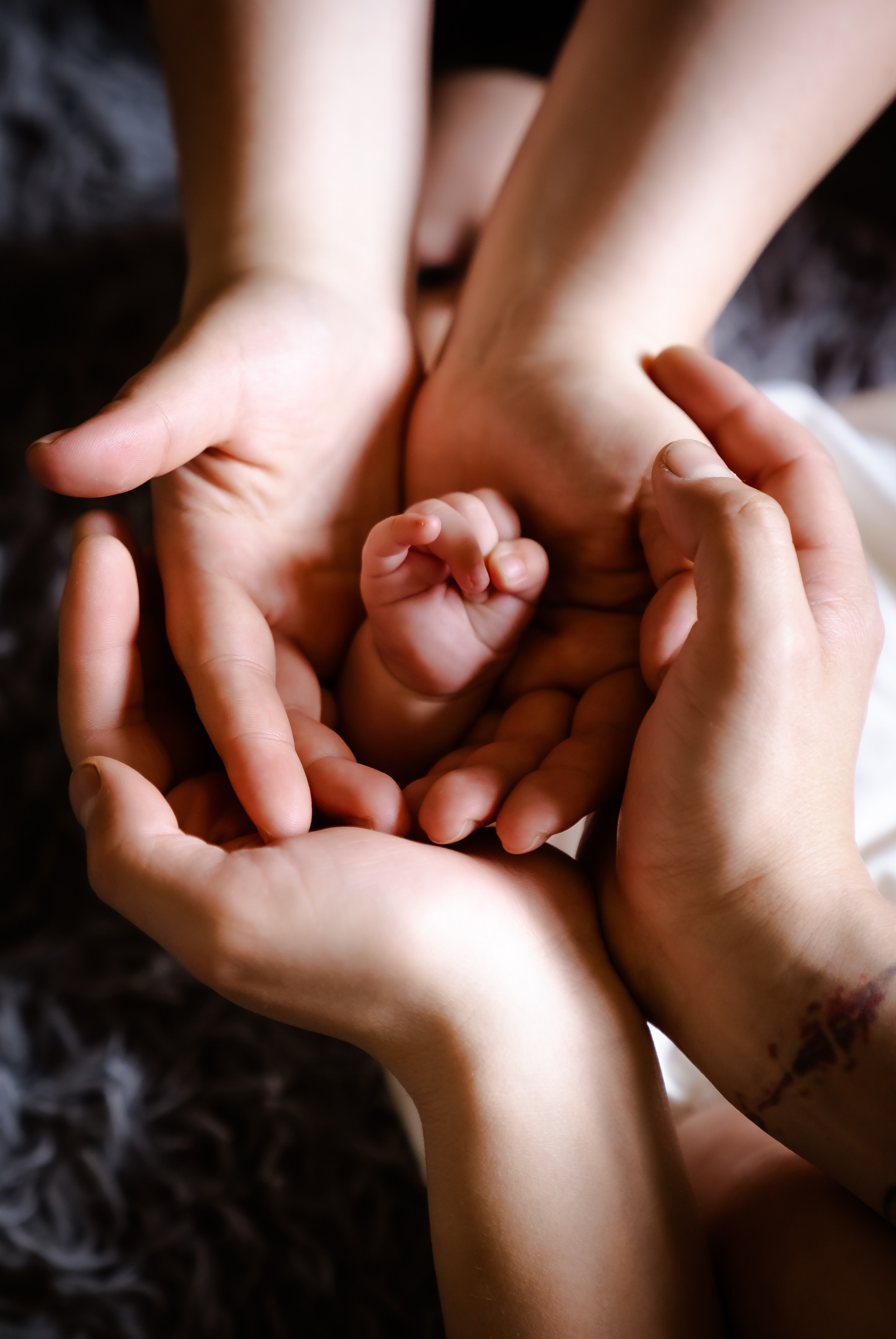 Кроха. Фотограф в Ростове-на-Дону Анна Малахова