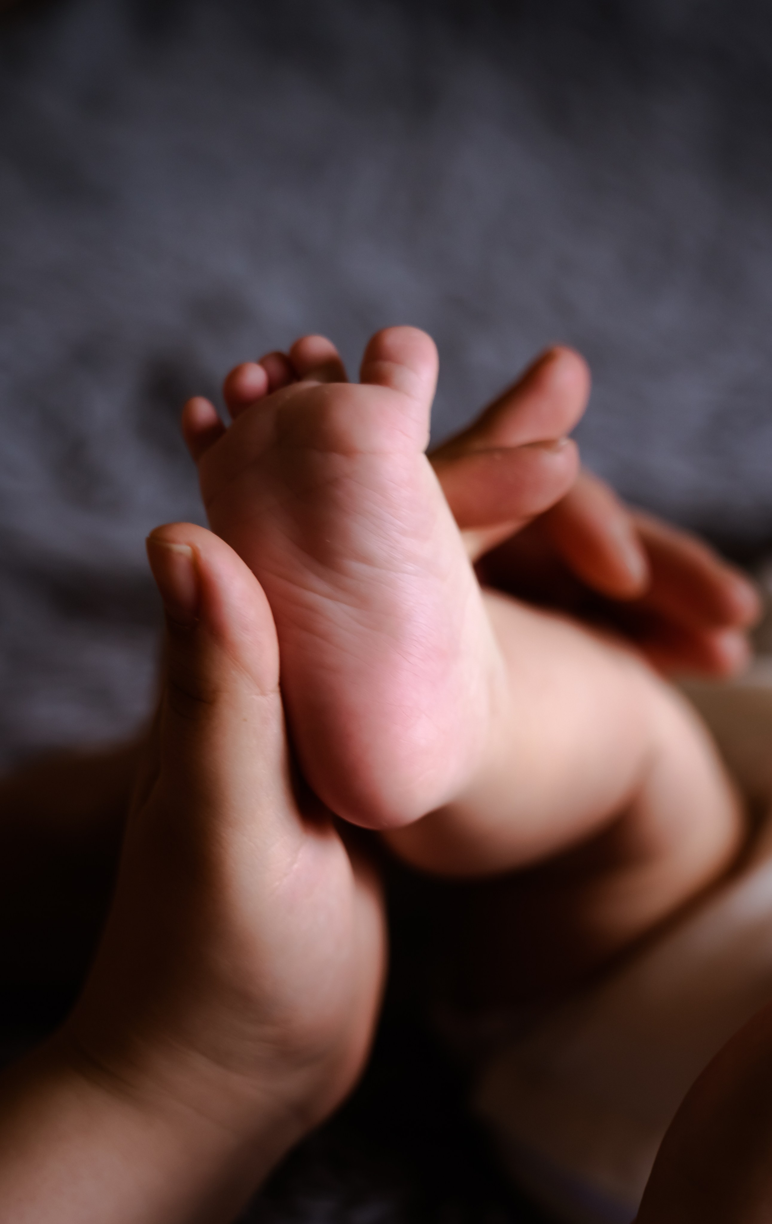 Кроха. Фотограф в Ростове-на-Дону Анна Малахова