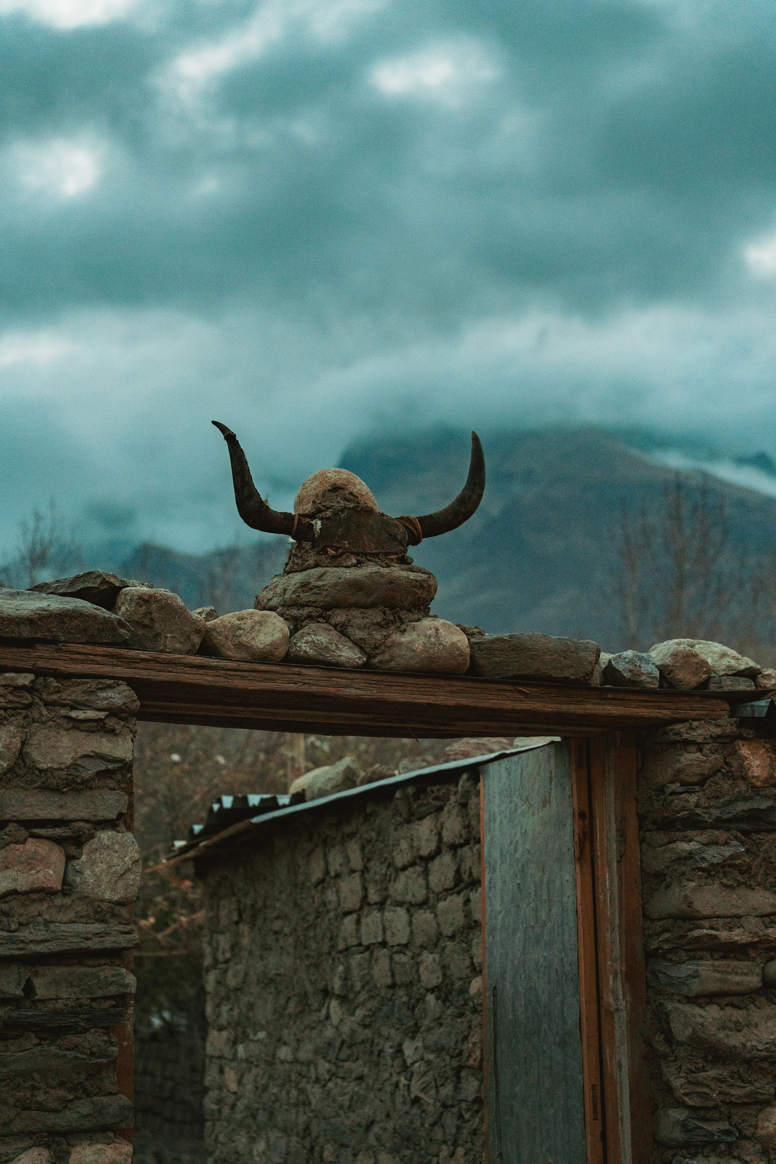 Королевство Мустанг. Dmitry Ippolitov