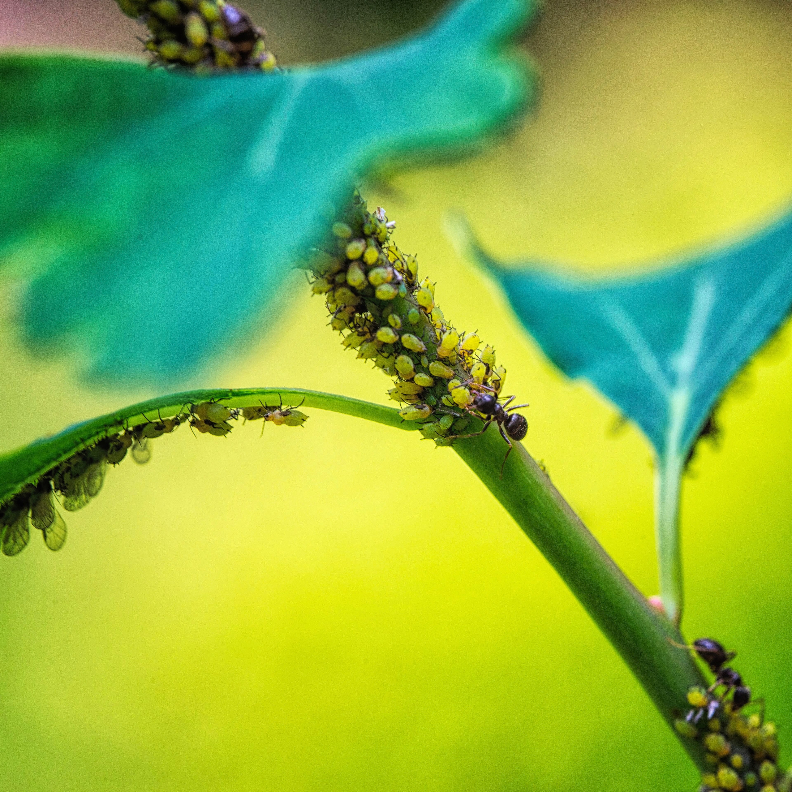 ПРИРОДА. Слепки времени. Фотографии природы и событий. Москва. Сергей Аллагулов