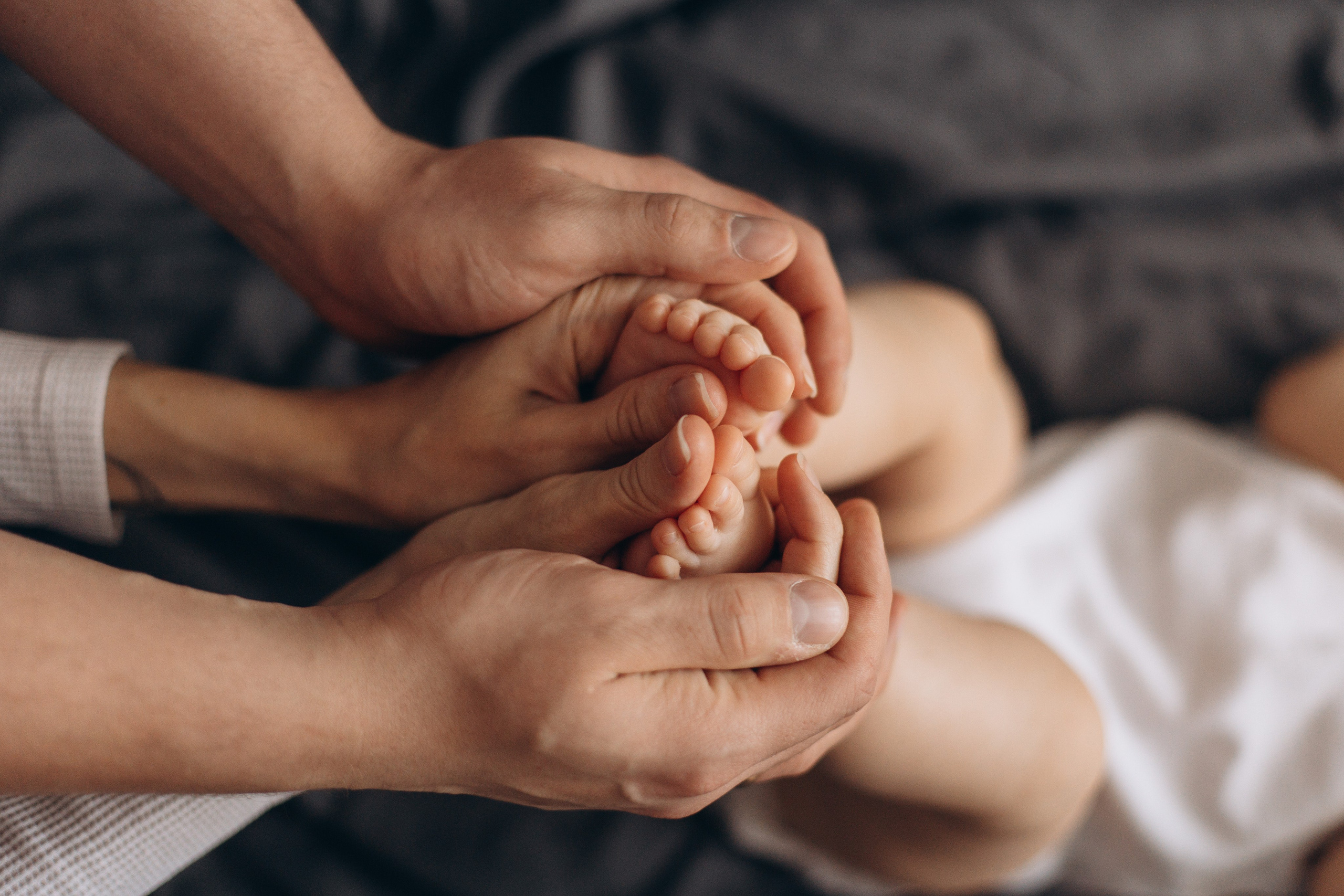 Джой и его семья. Фотограф — Анималист | Санкт-Петербург