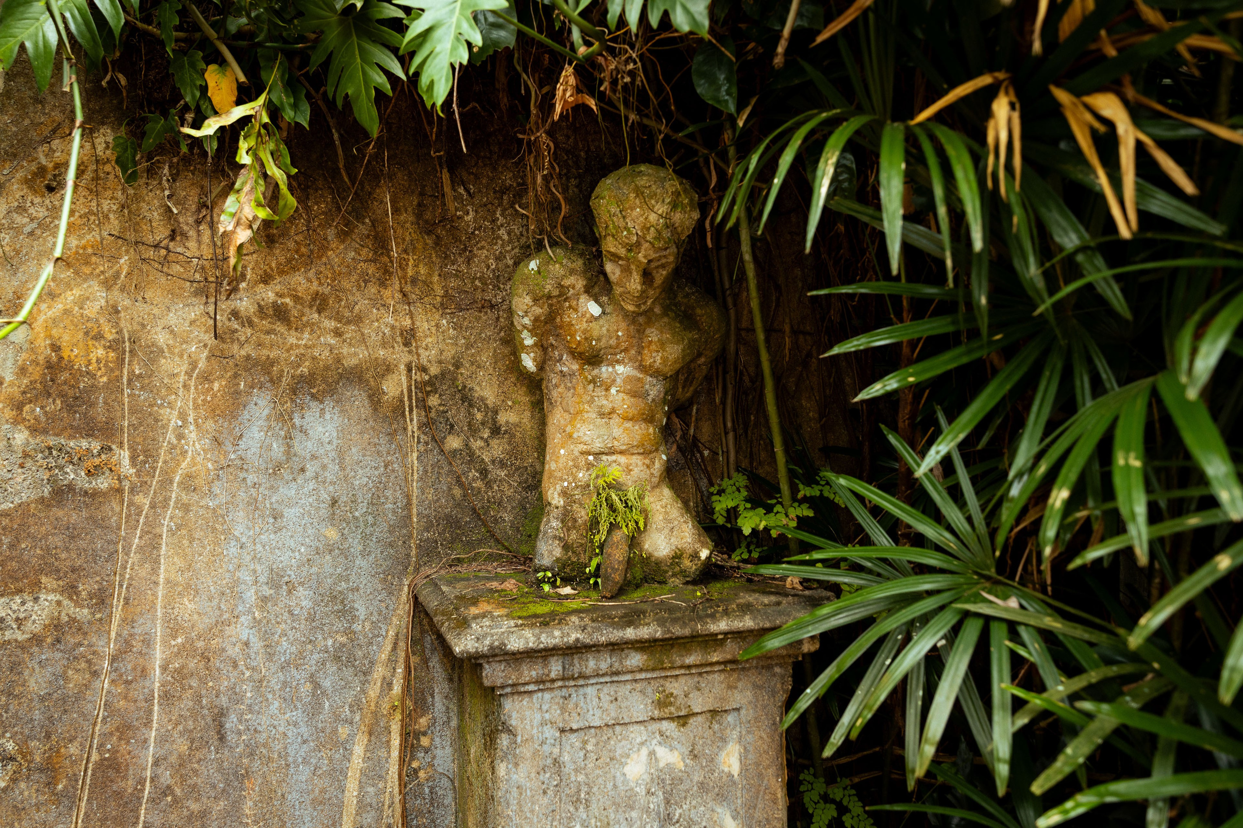 Шри-Ланка (весна 2024). Фотограф Виноградов Константин