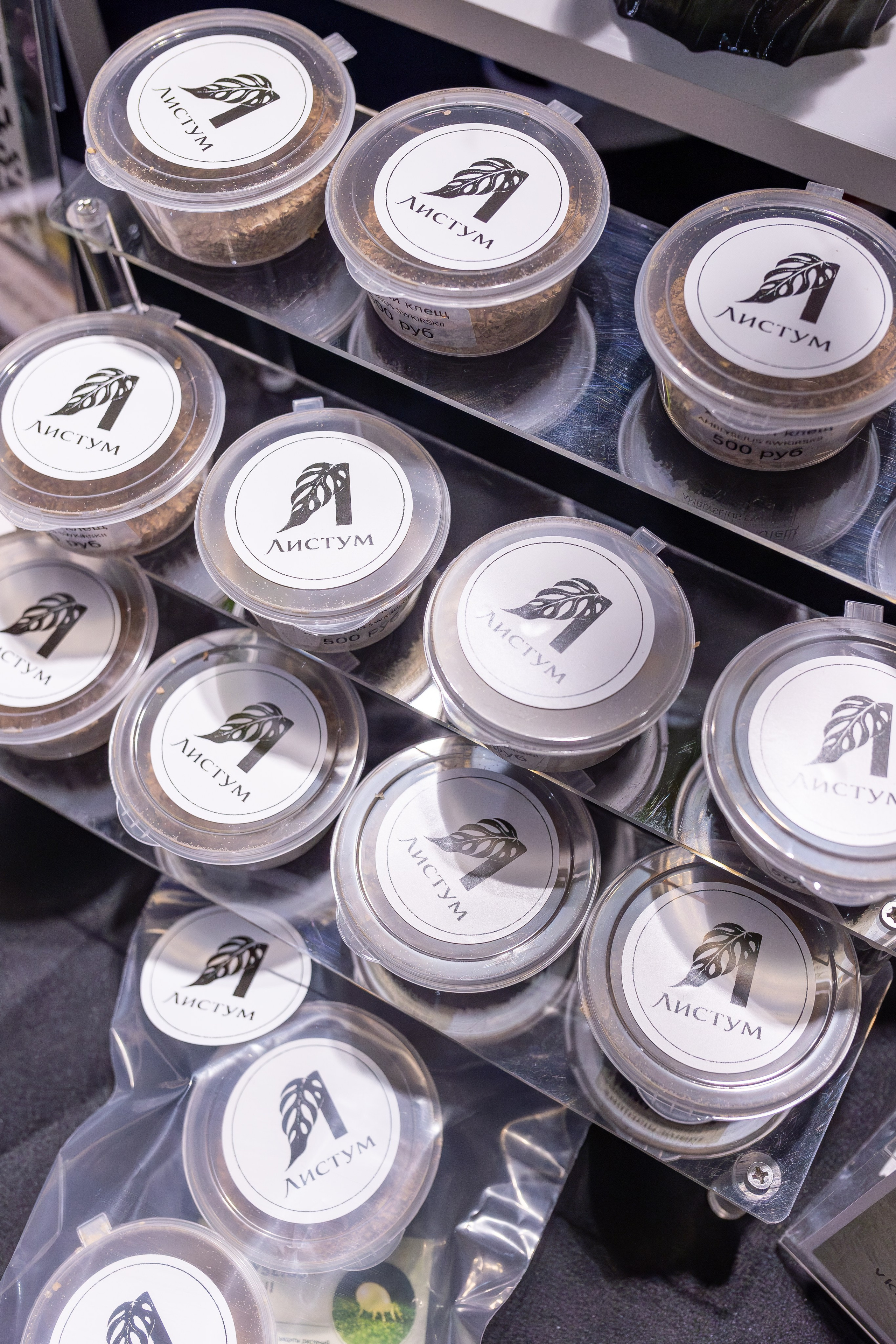 Монстериум апрель 2026. Александра Куликова фотограф, Москва