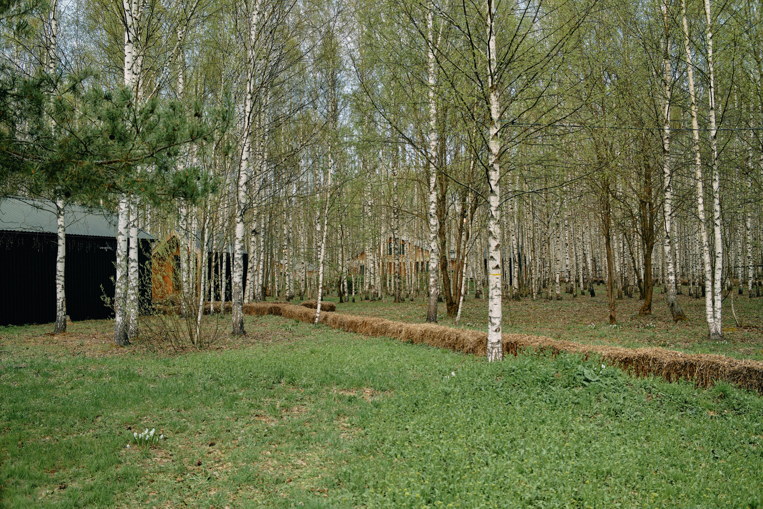 Бутик-отель Поле летом. Профессиональный Фотограф во Владимире, в Москве и в Суздале — Полина Романычева