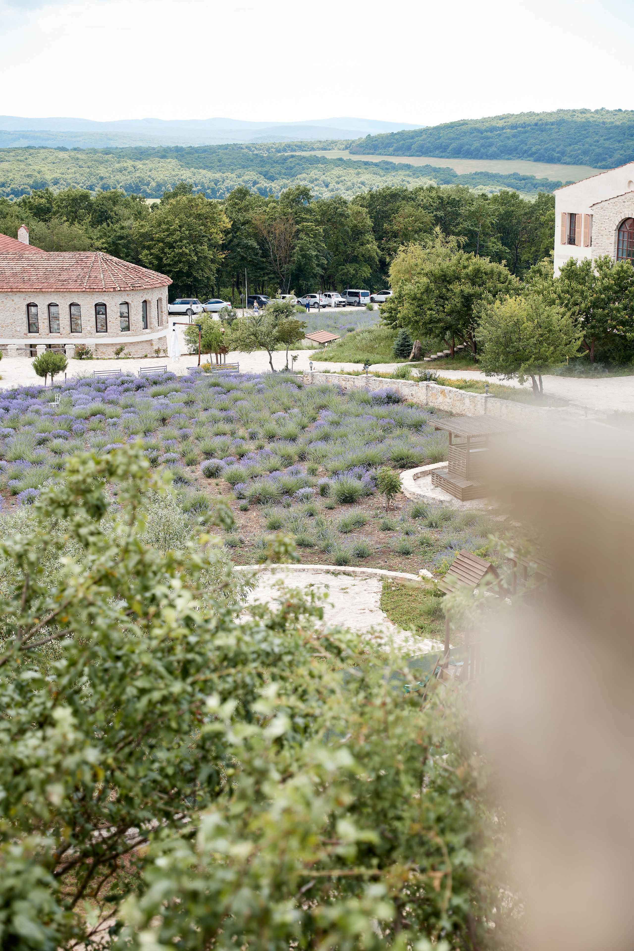 ОДНА ВИНОДЕЛЬНЯ. Репортажный и мужской фотограф в Краснодаре. Фотограф в Краснодаре