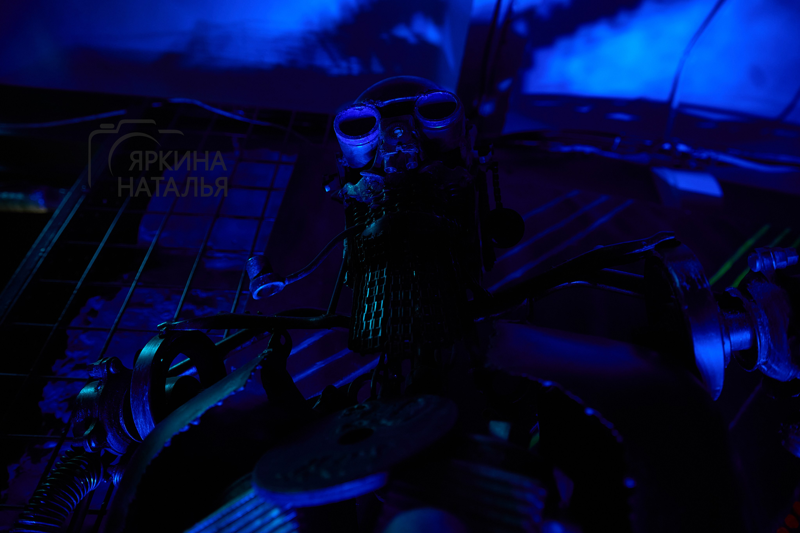 яркина наталья