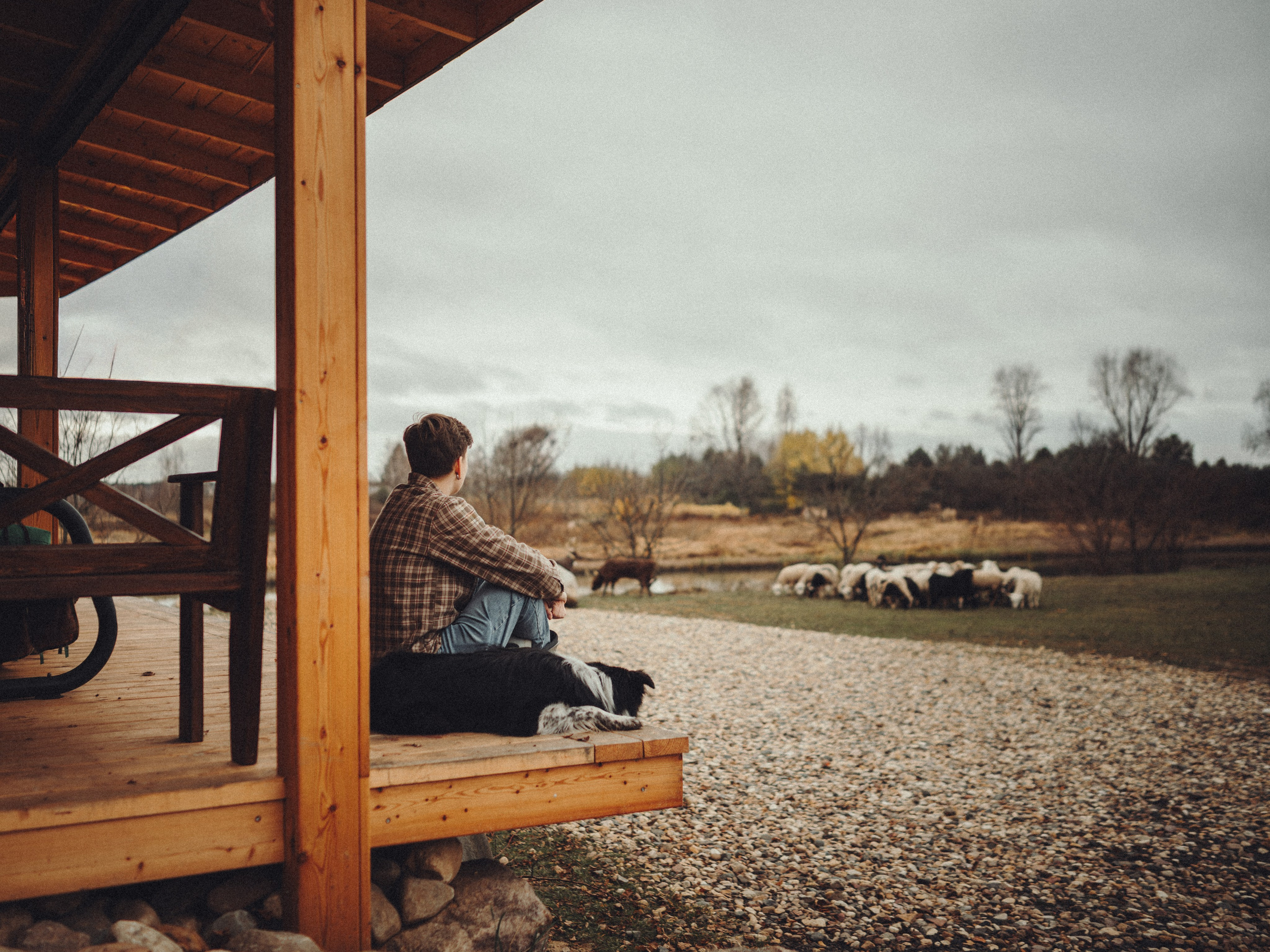 Настя и Рэги на ферме. Семейный фотограф анималист Ананьева Мария — Москва