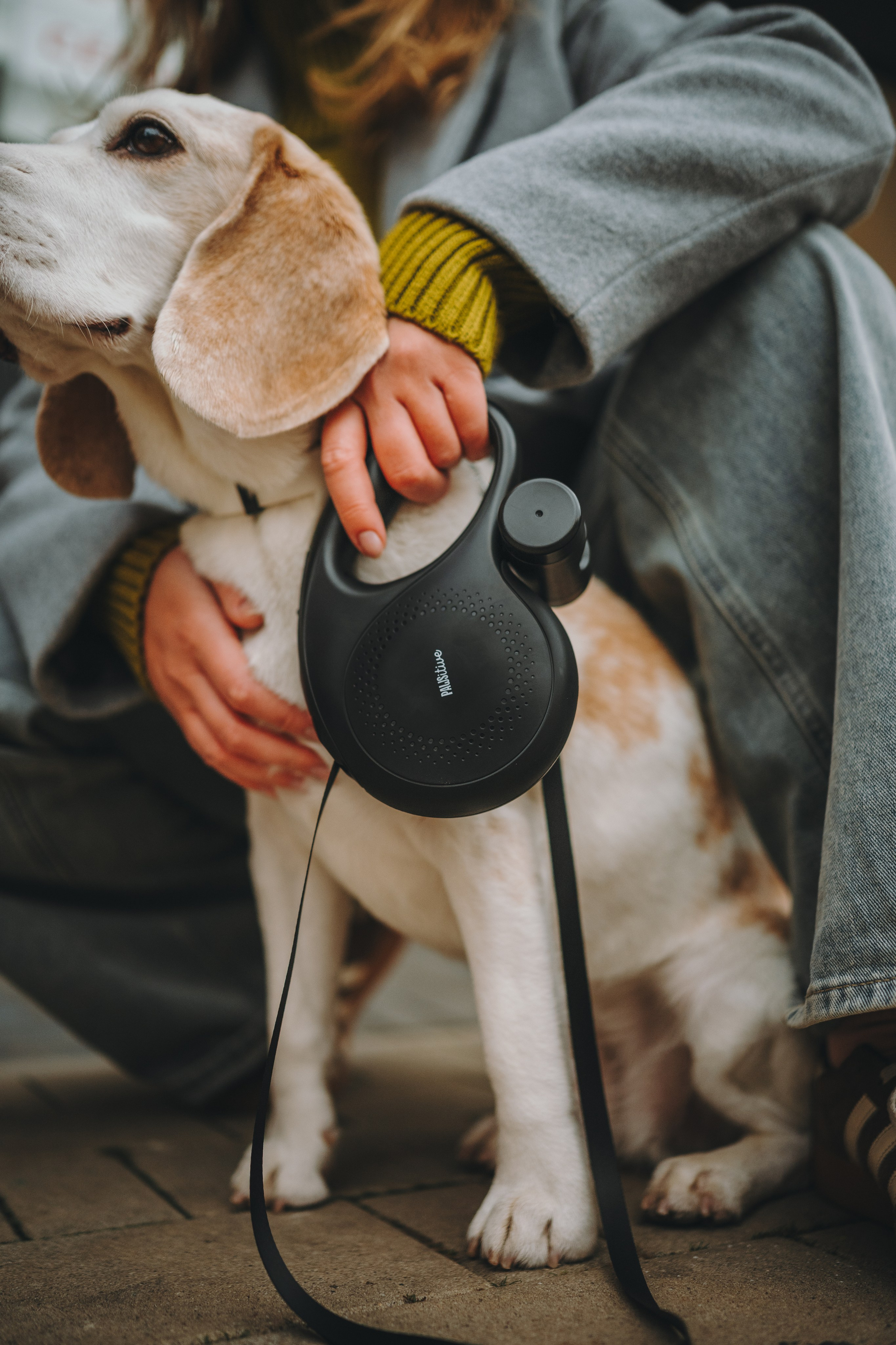 Pawsitive. Семейный фотограф анималист Ананьева Мария — Москва