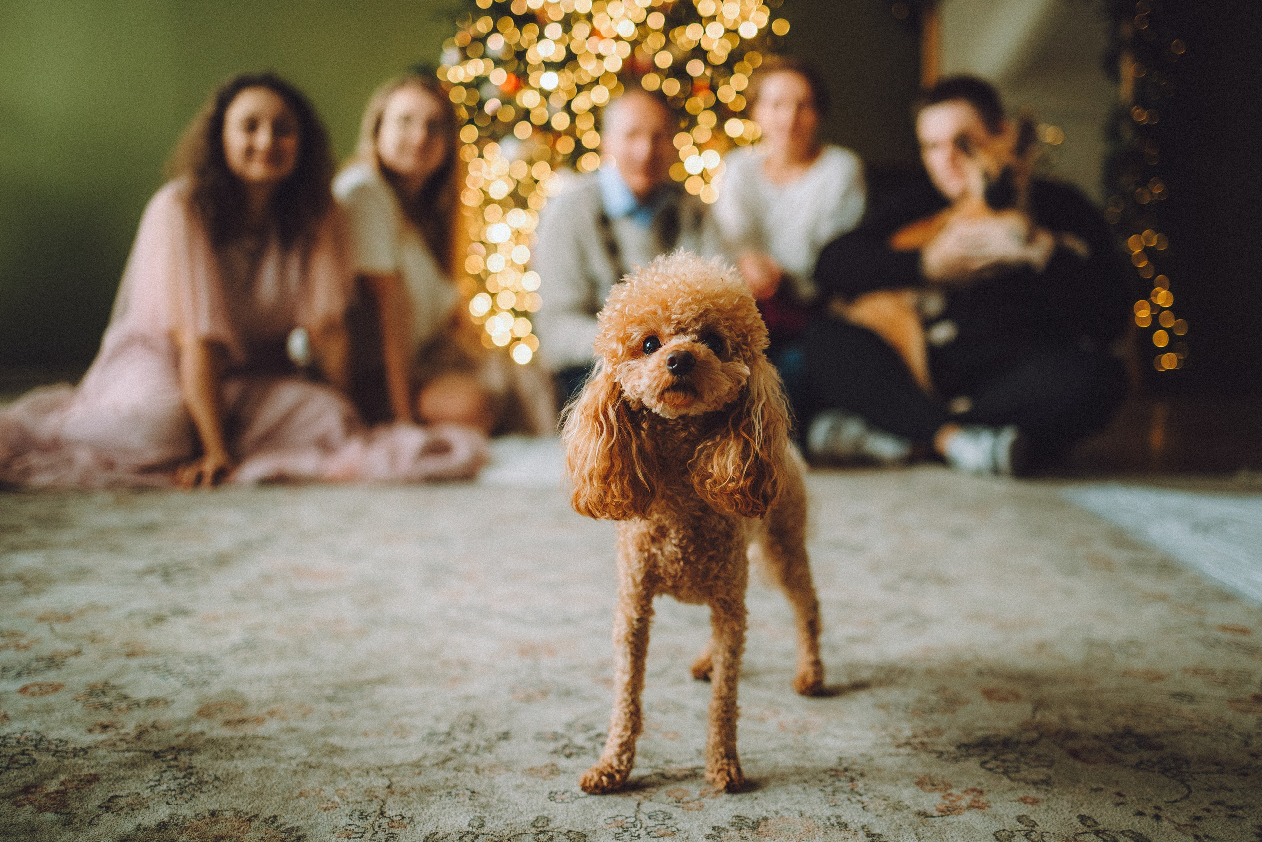 Джули, Шелли и их семья