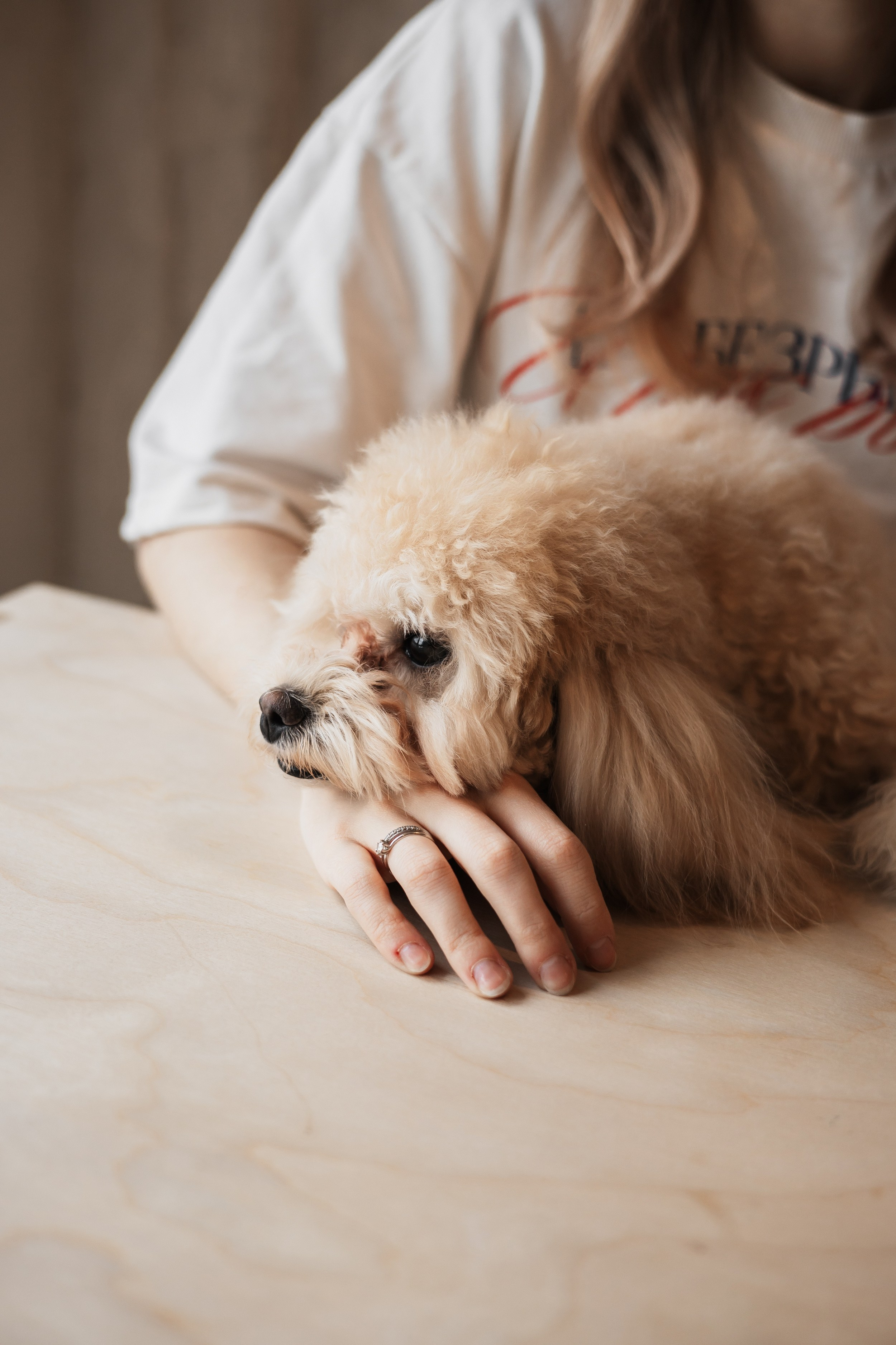 Алина — прогулка