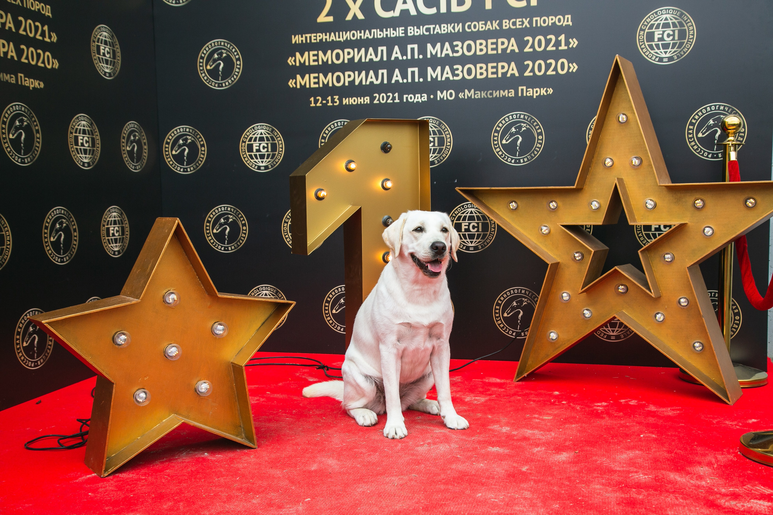 Выставки. Профессиональный фотограф Евгений Земцов в Москве. Контент съемка, репортаж мероприятий, бизнес портреты