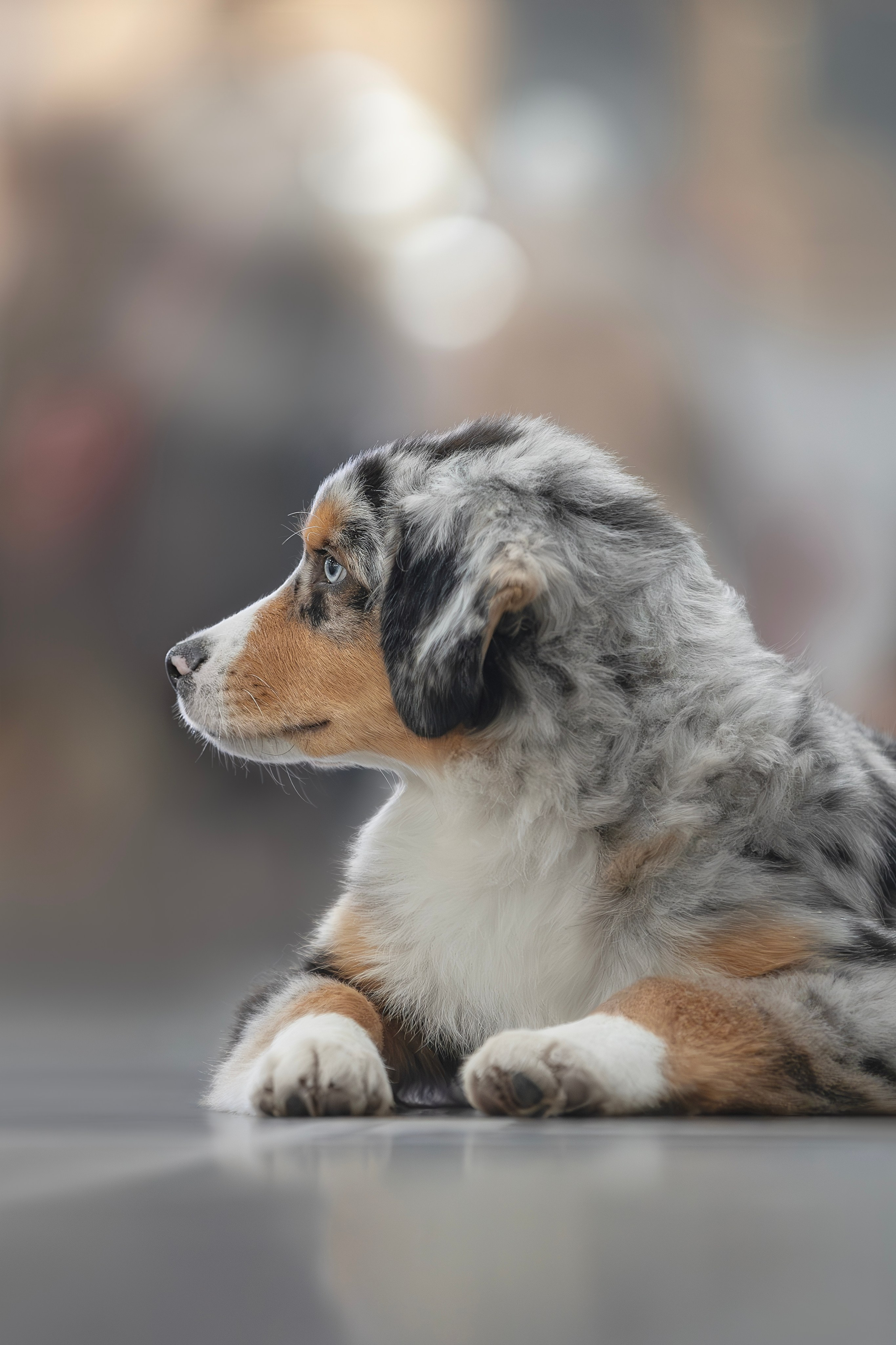 Евразия 2023. Фотограф анималист в Москве Майорова Евгения