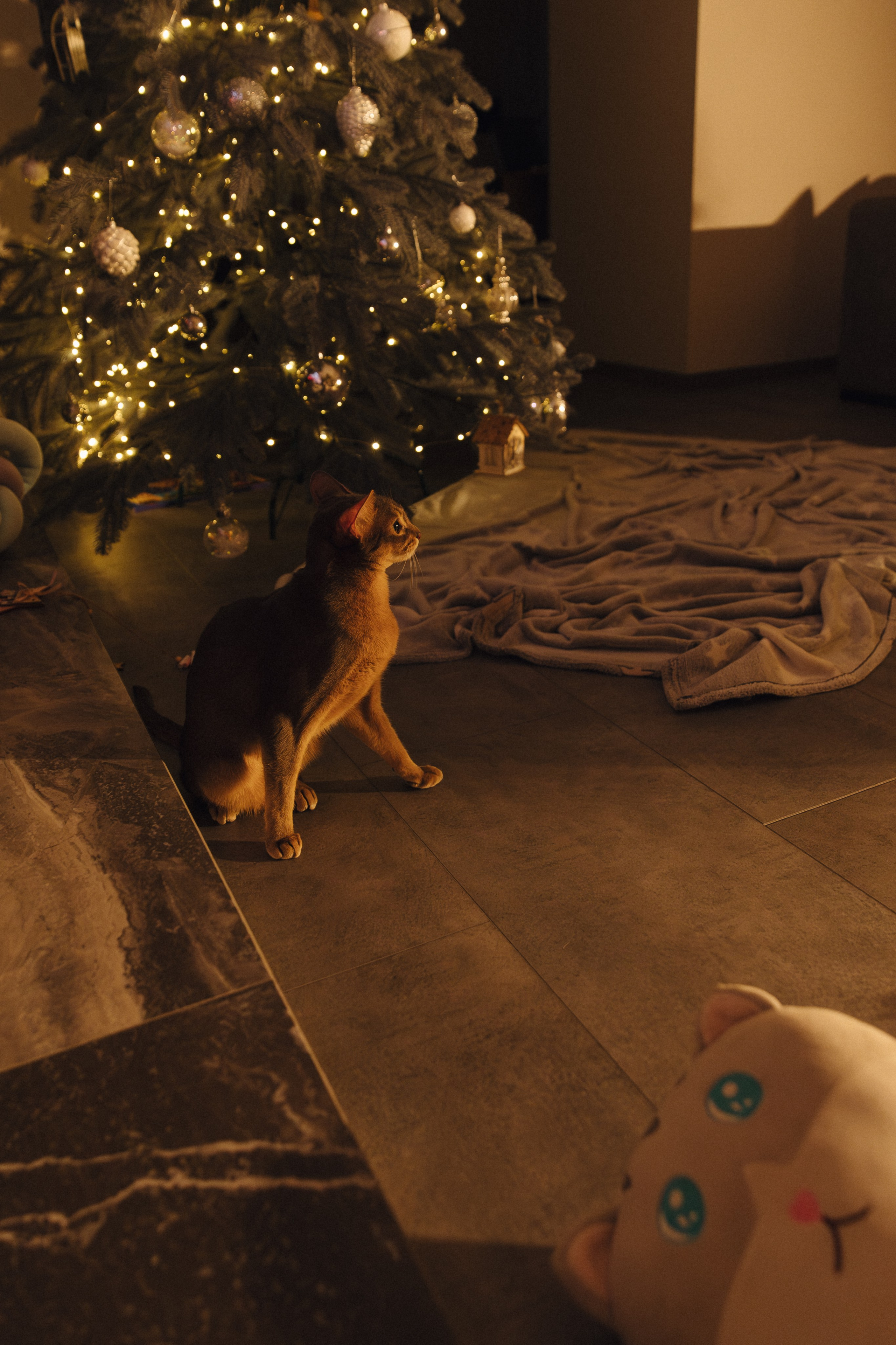 Домашний вайб. Свадебный и семейный фотограф в Красноярске Абраменко Настя