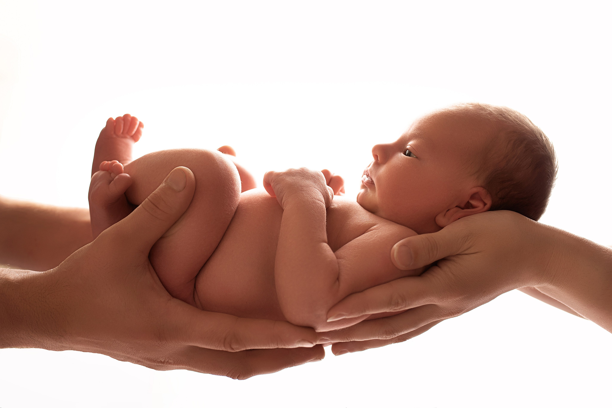 Новорождённые мальчики. Детский фотограф новорождённых в Минске Боровик Екатерина