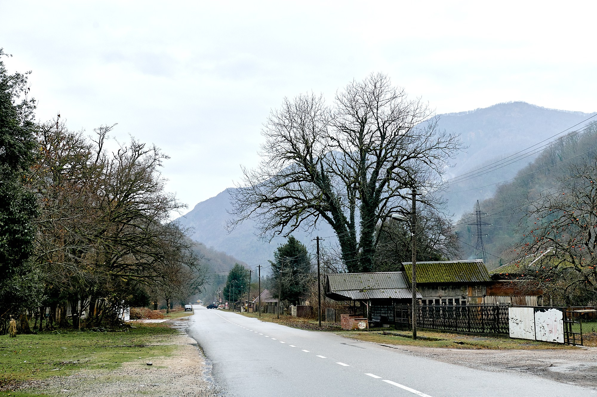 Озеро Рица, Абхазия. Декабрь 2024. Фотографии отовсюду и обо всем