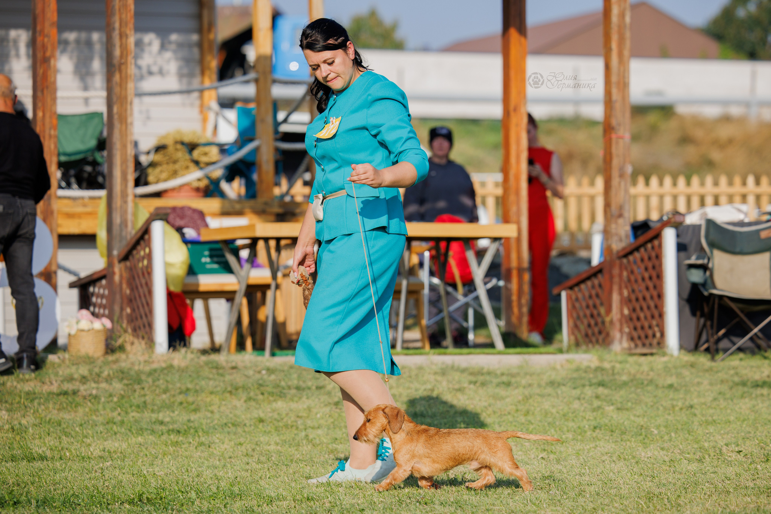 Армения,Ереван 3хCACIB 15-17.10.2024. Фотограф-анималист Юлия Германика