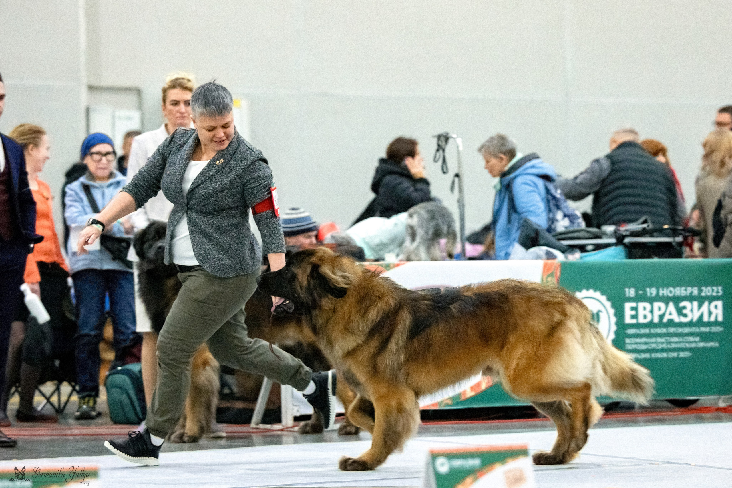 ЕВРАЗИЯ 18-19.11.2023. Фотограф-анималист Юлия Германика