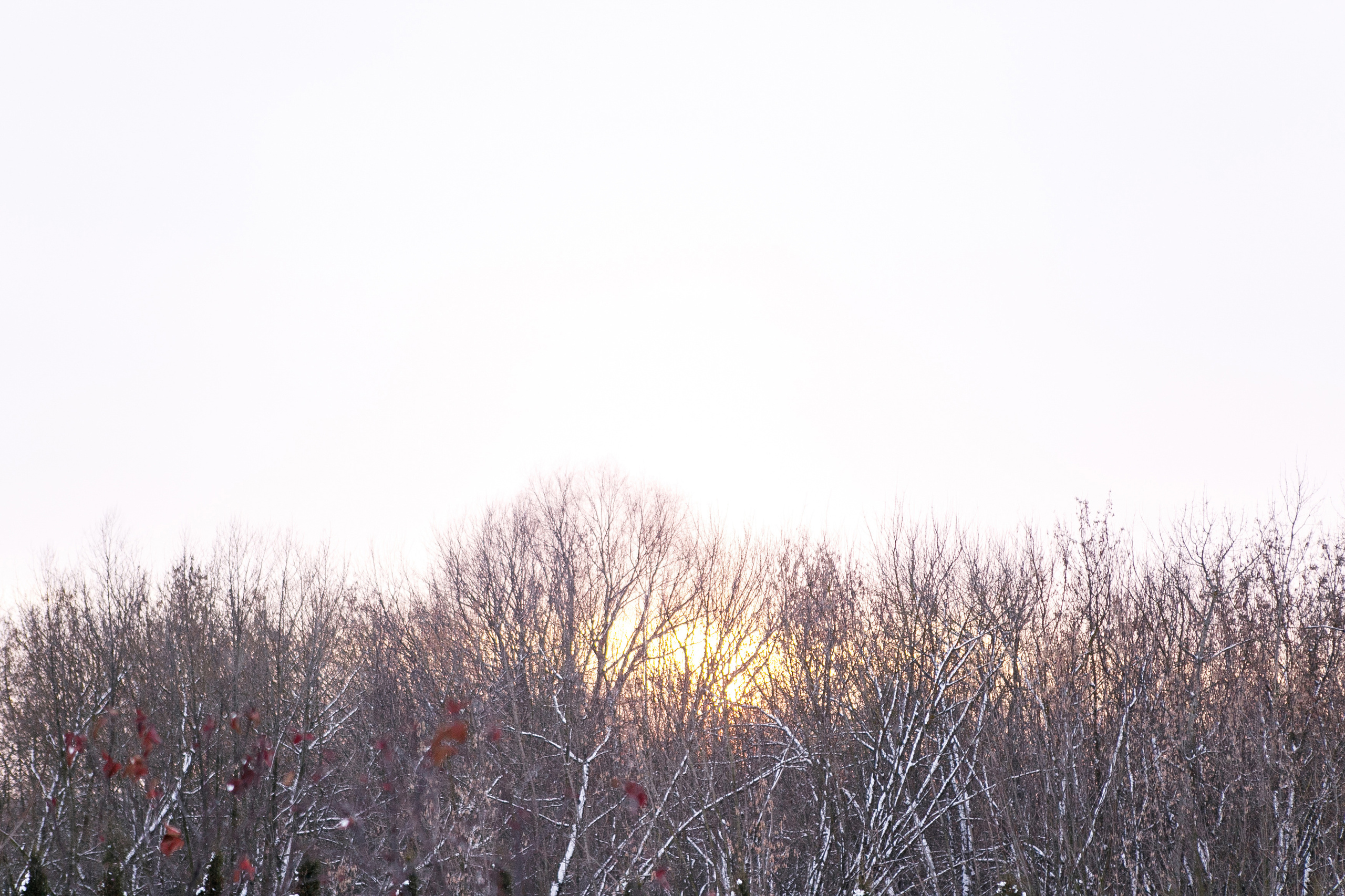Дима и Аня. Фотограф Макс Носков