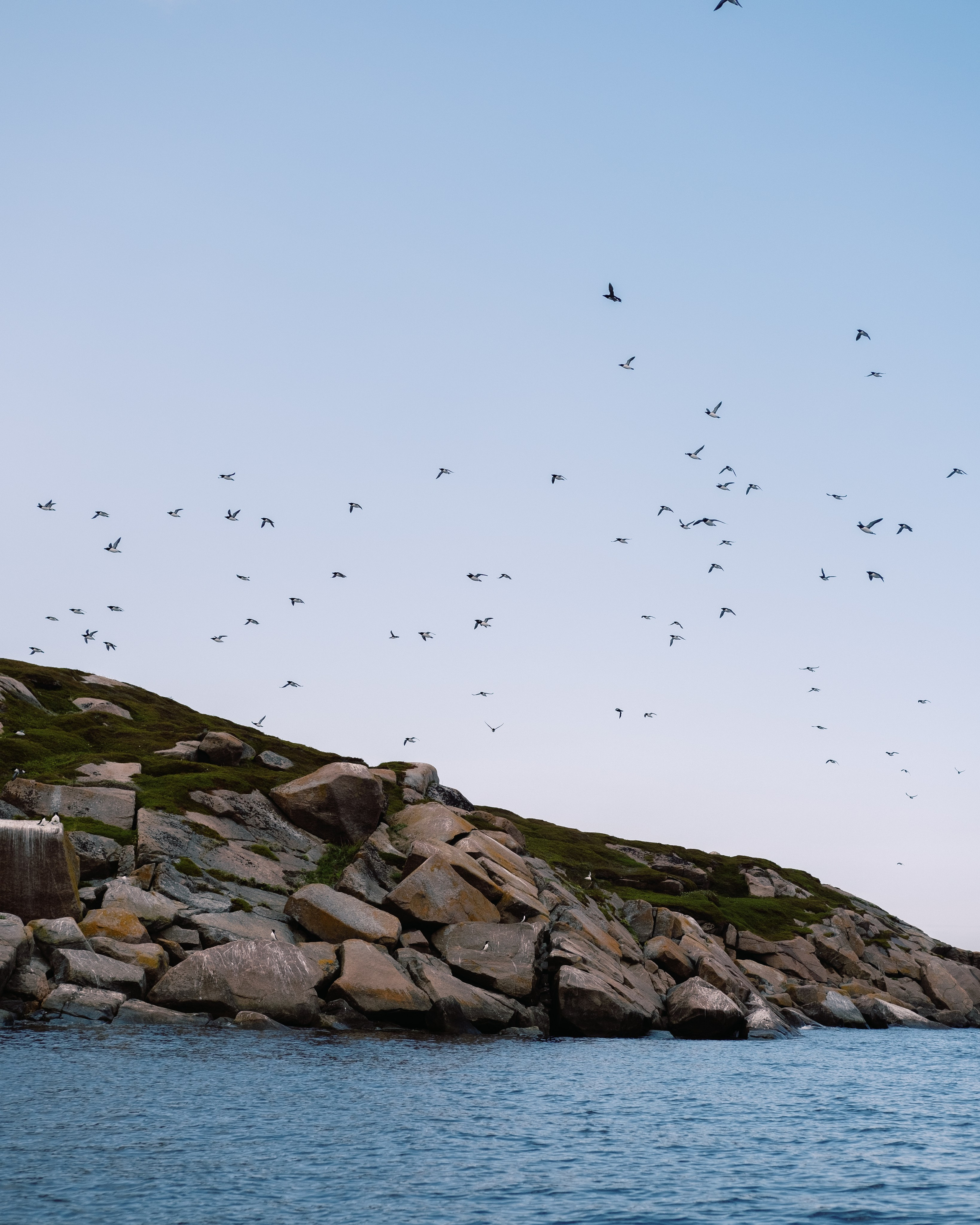 Карелия и Соловецкие острова. Обо мне