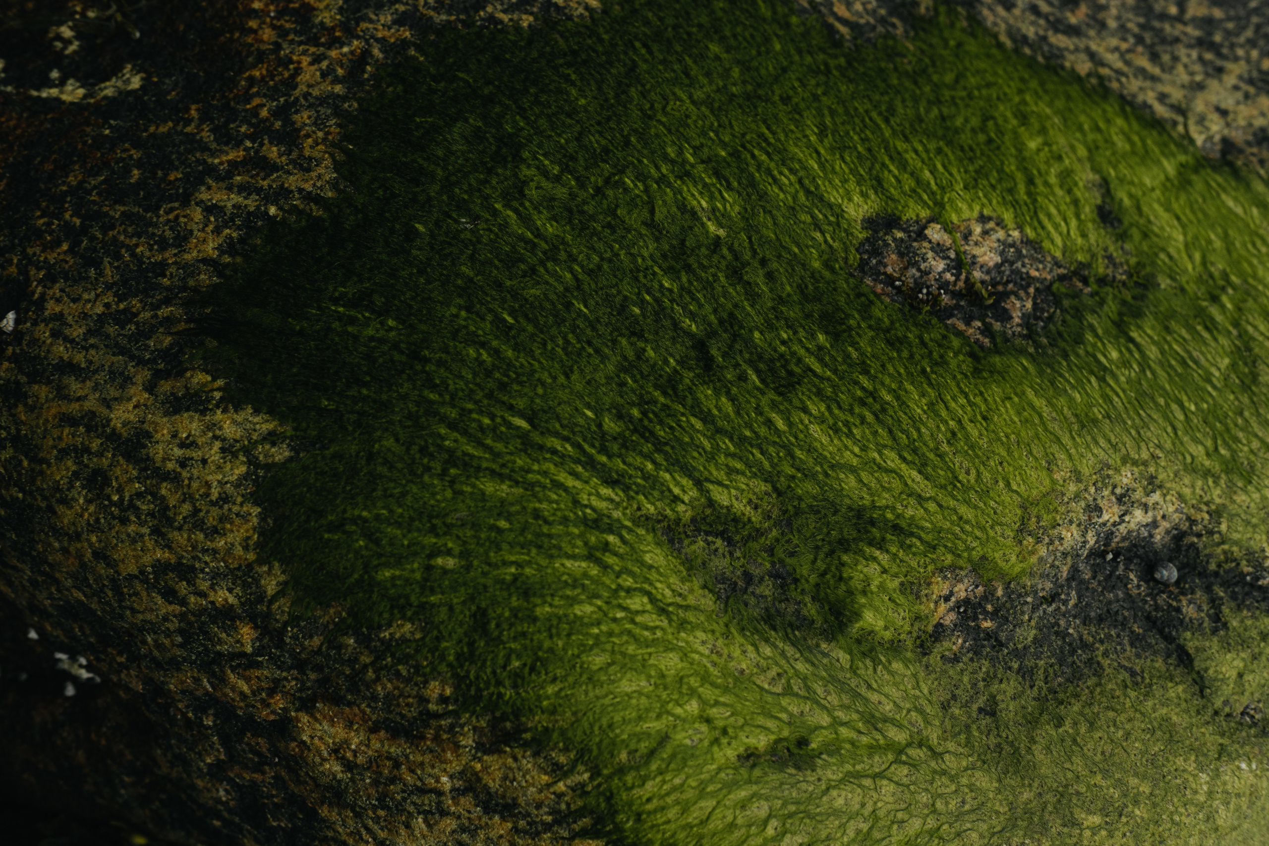 Карелия и Соловецкие острова. Обо мне