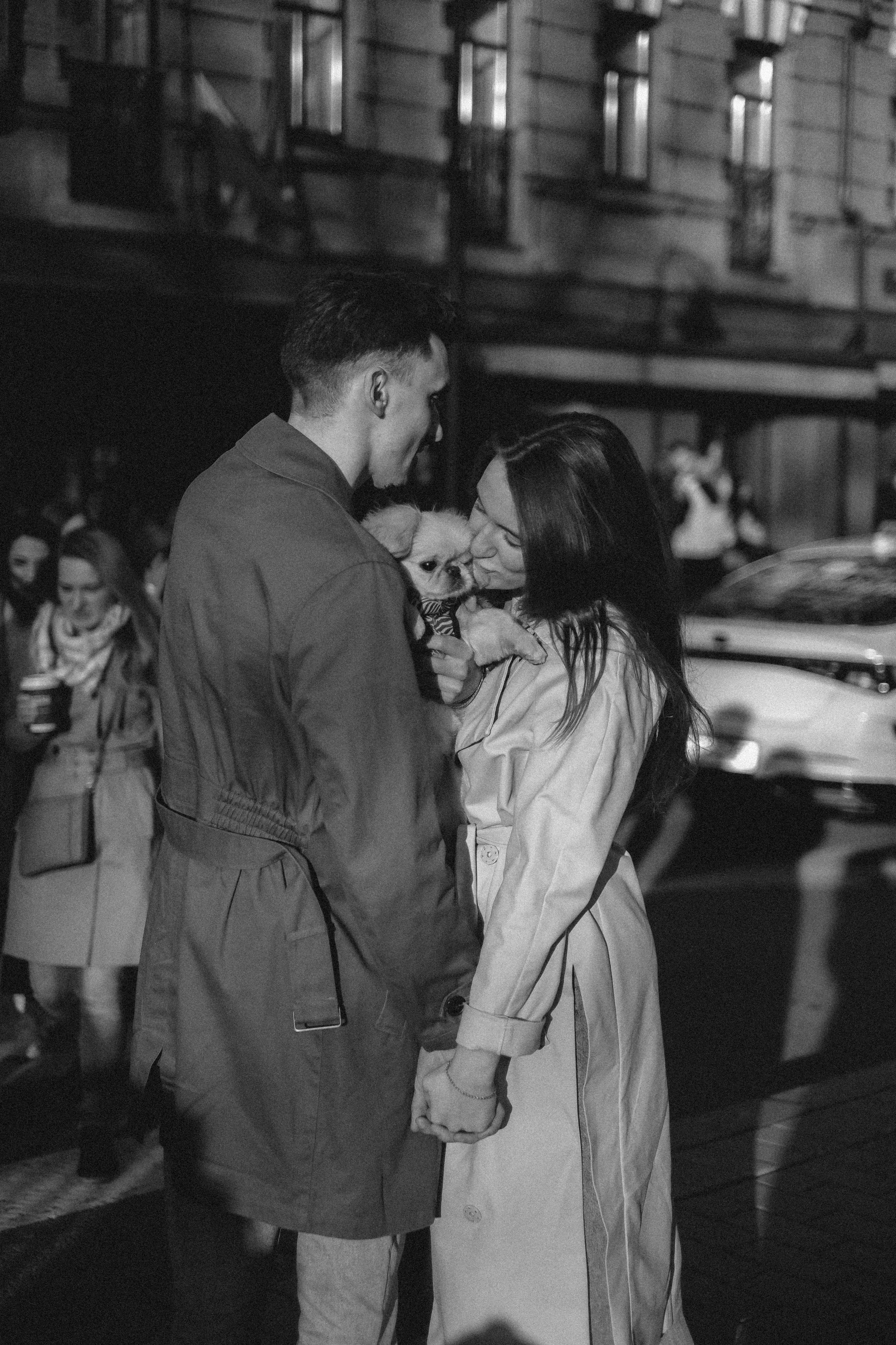 Пекинес. Свадебный и портретный фотограф в Москве, Туле и Брянске Дара Евсеева