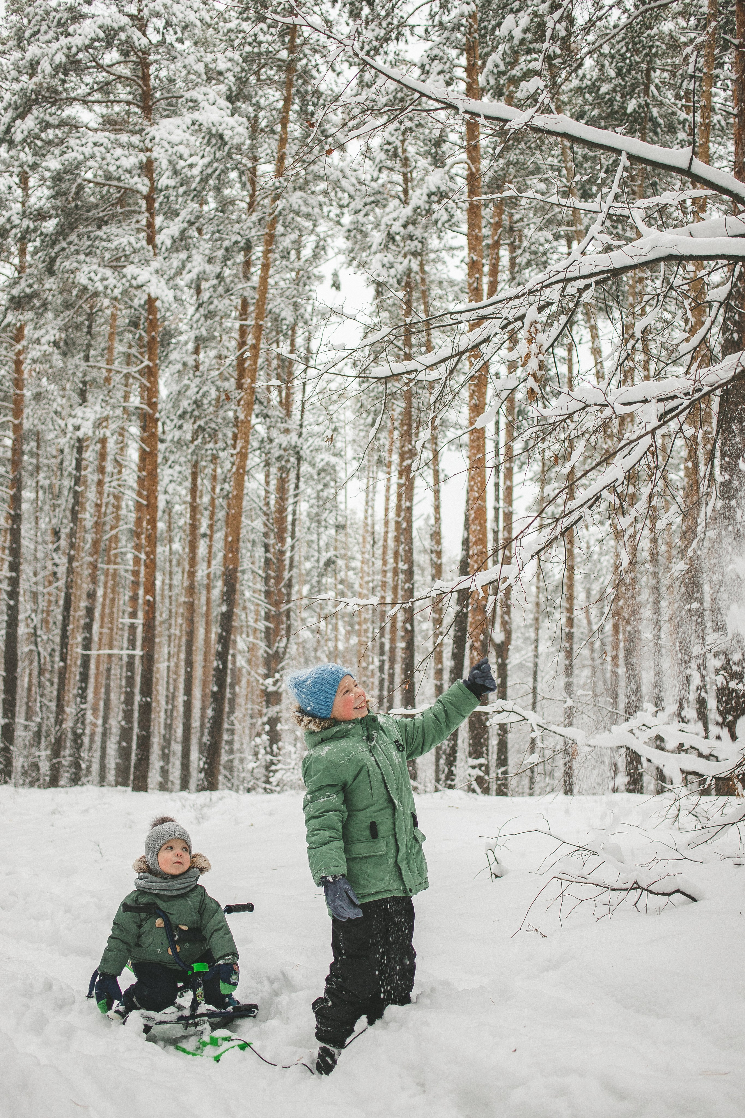 Зимние забавы. Семейный фотограф г. Димировград Андросова Екатерина