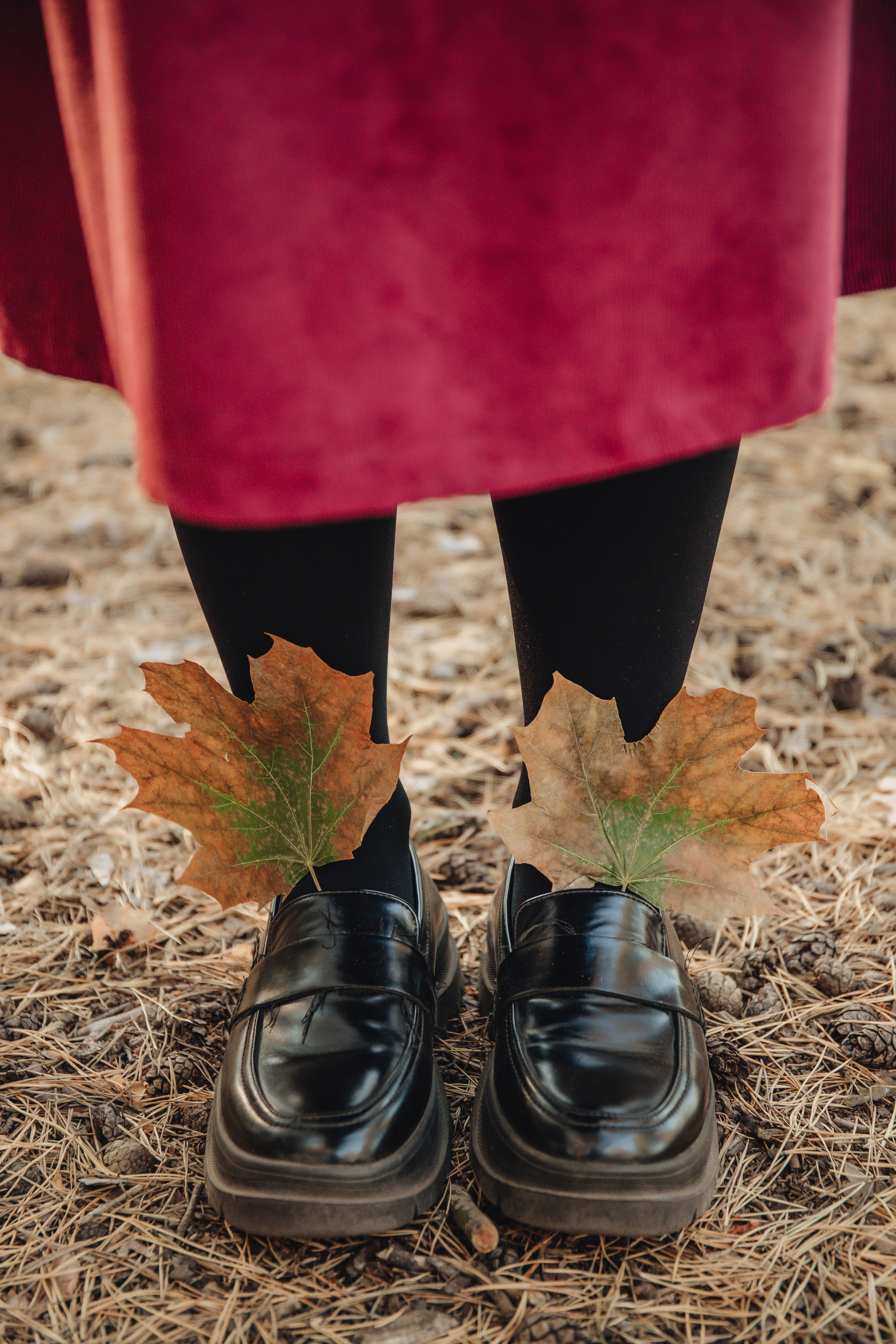 Саша и Вика. Лес. Свадебный и семейный фотограф Пушкин Царское Село СПБ Питер Санкт-Петербург и Рязань Ольга Козлова