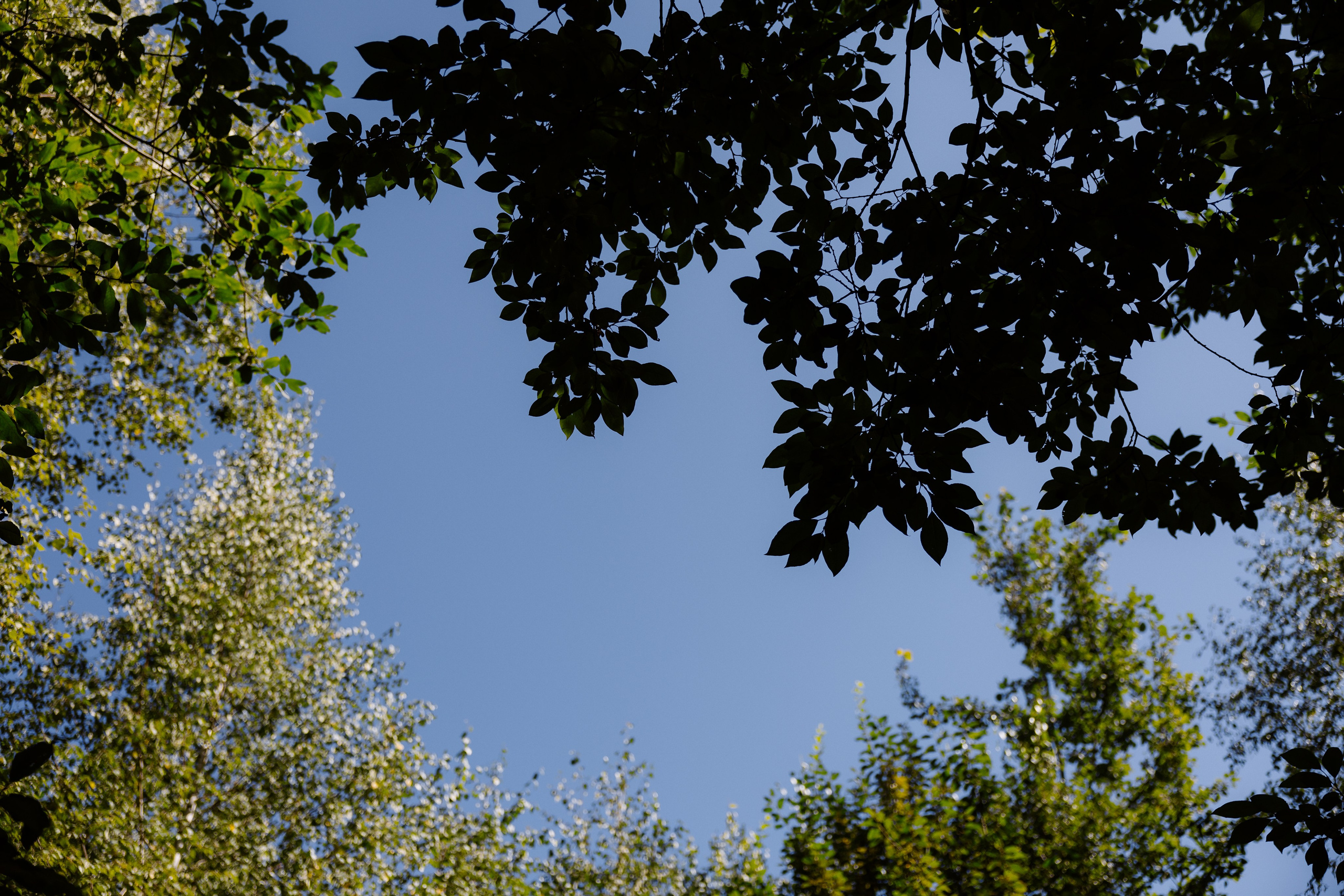 Мария & Александр. RETOUCH-HOUSE