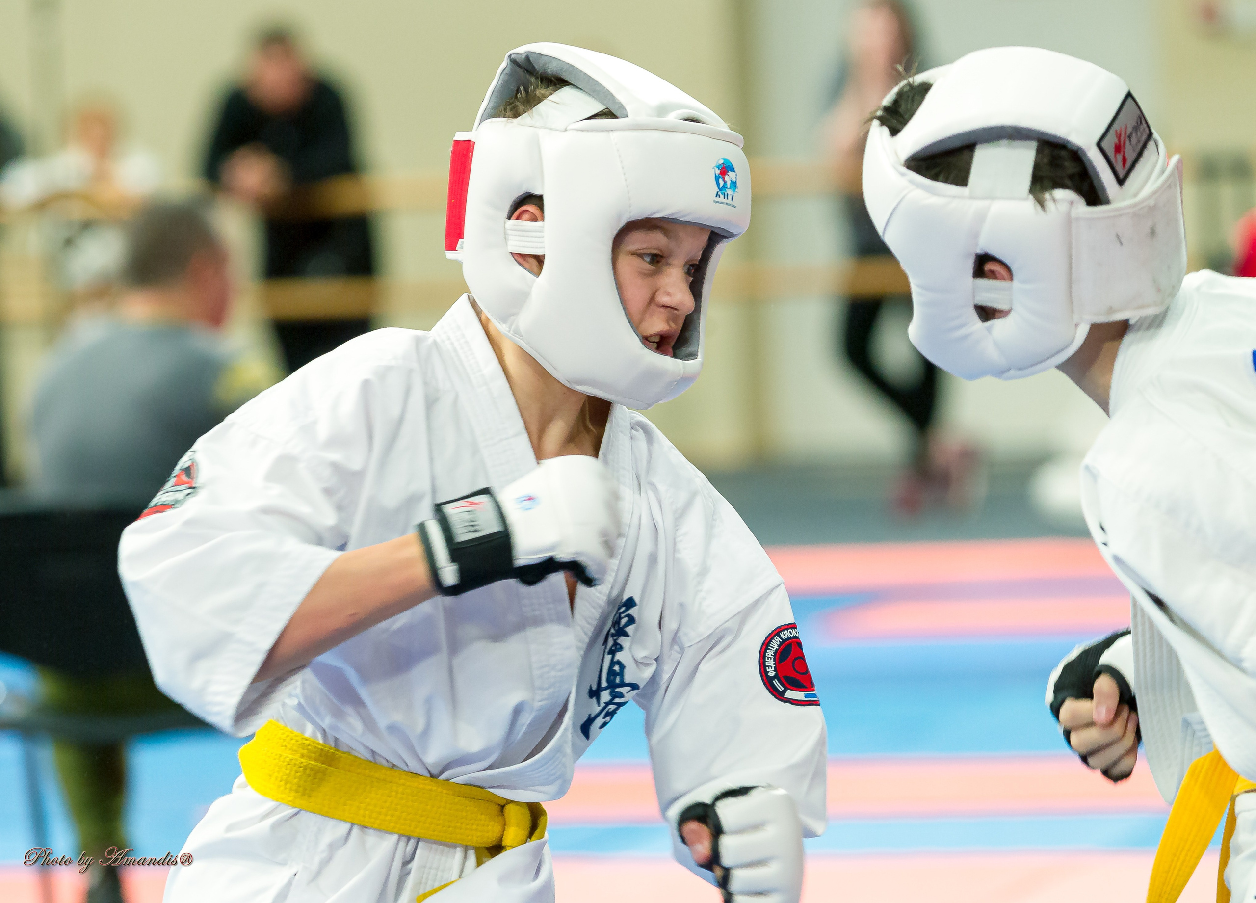 Первенство Московской области по Киокушин в СК «Жаворонки». Репортажная съемка в Москве и области. Анималистика