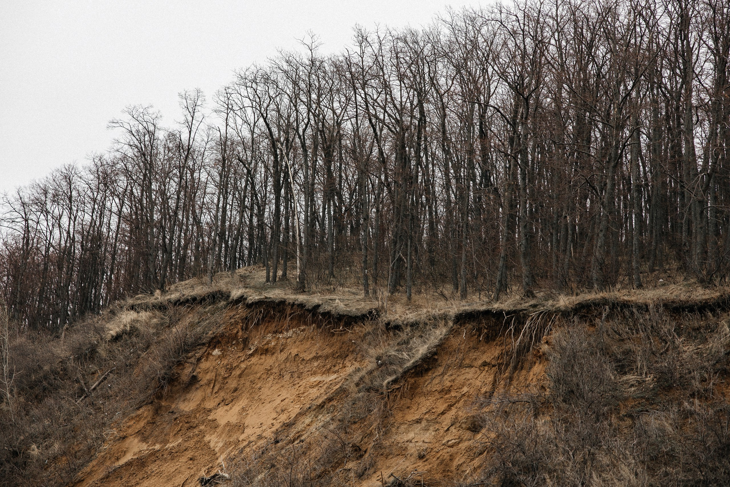 SPRING. Свадебный фотограф в Ульяновске Владимир Лесников
