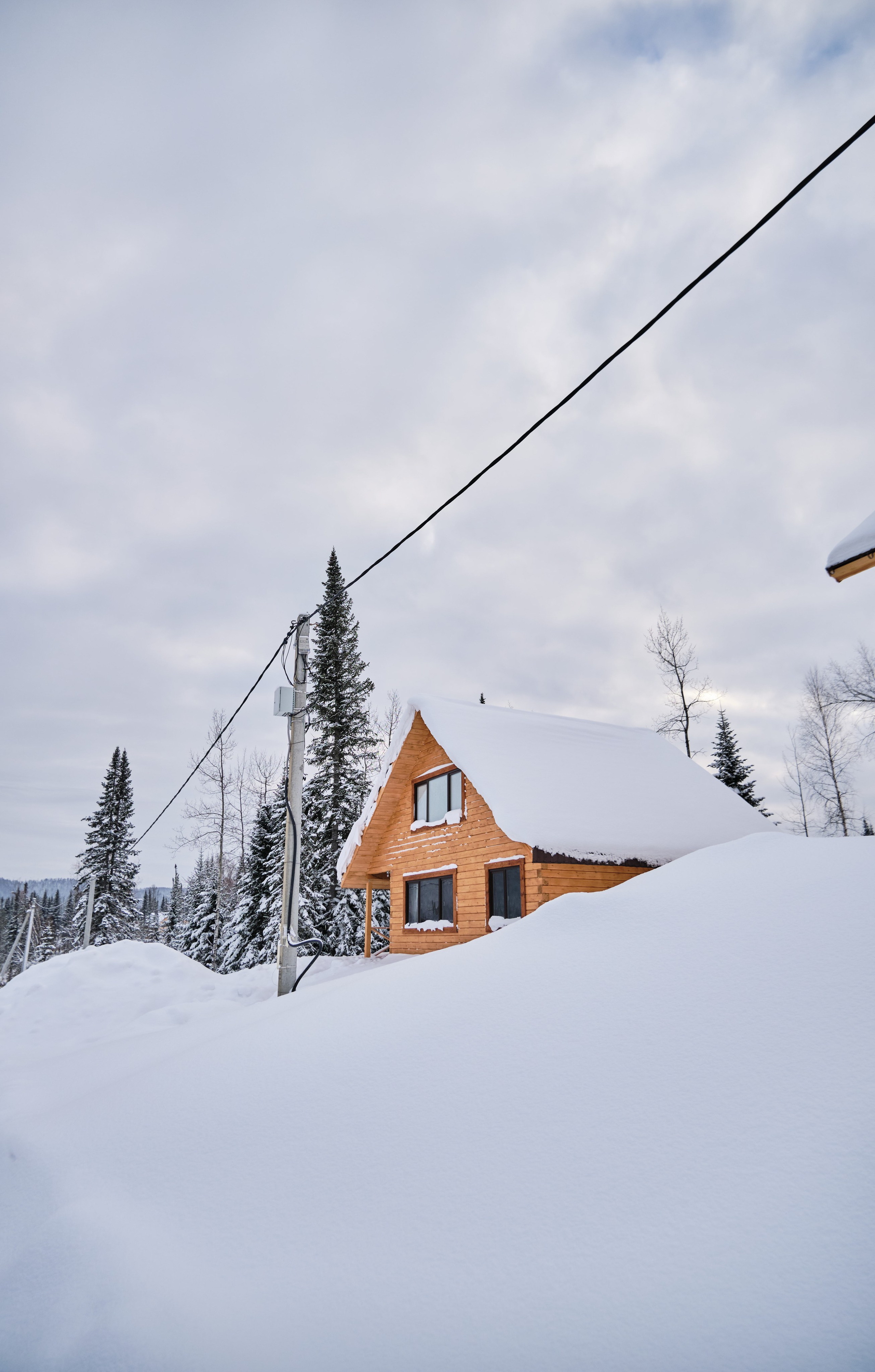 Цветочная ½. Свадебный и семейный фотограф в Новокузнецке Иван Иванов