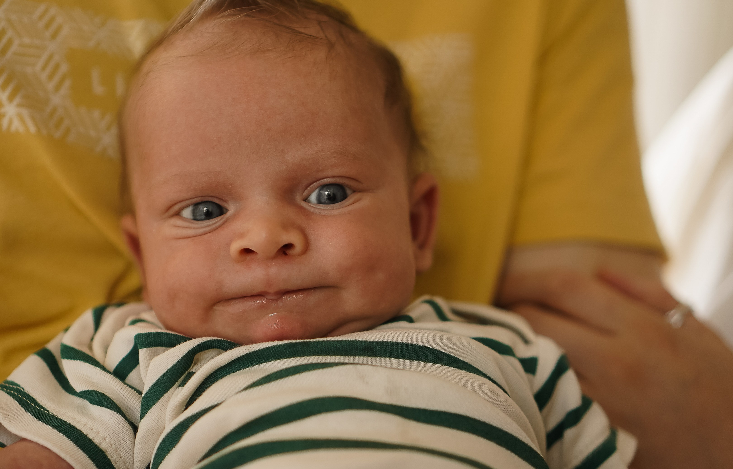 Федя, новенький на планете. Семейный фотограф в Москве Коровушкина Наталья. Съемка контента