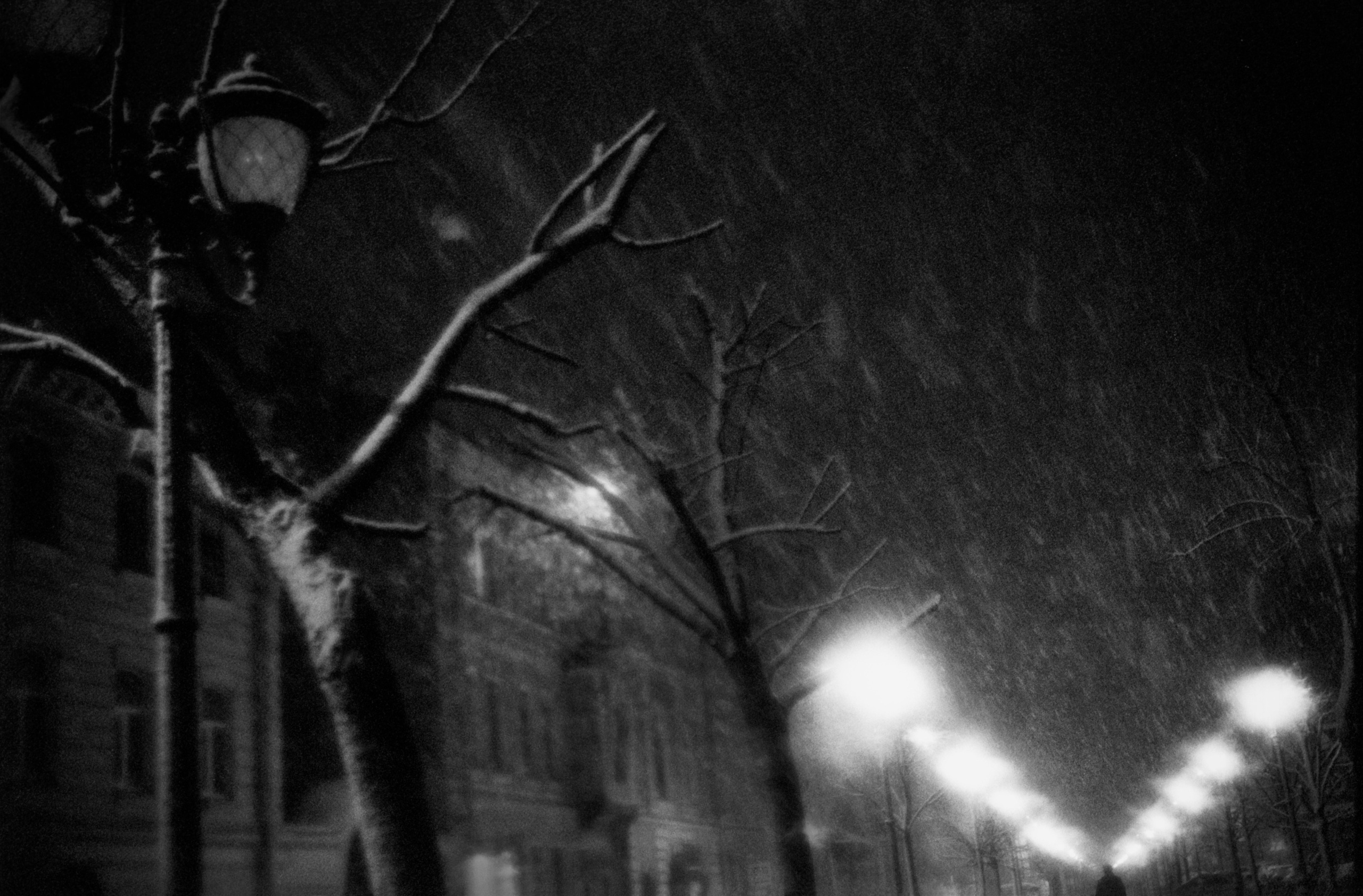 Аналоговая фотография и ручная печать. Фотохудожник Дарья Берг в Санкт-Петербурге и Москве