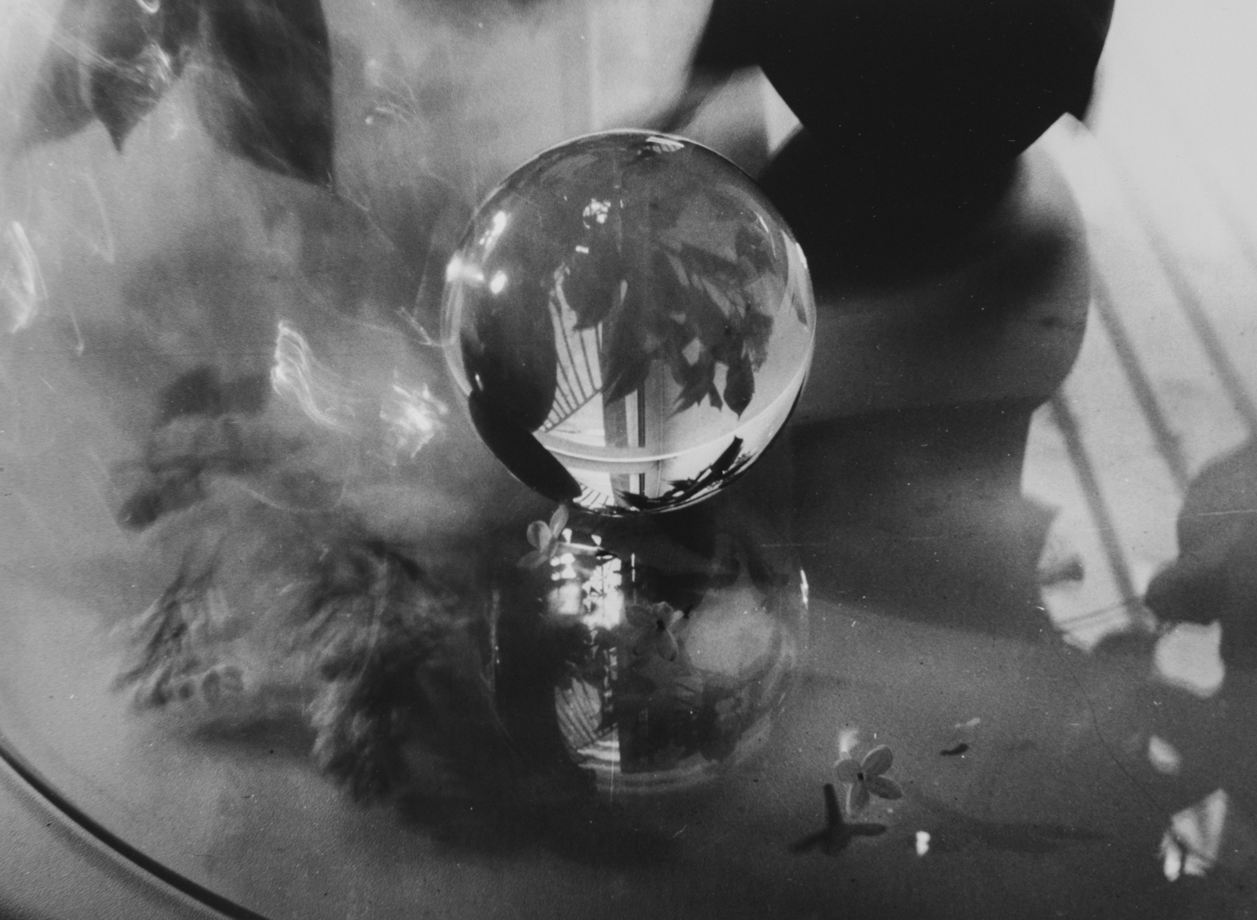 Аналоговая фотография и ручная печать. Фотохудожник Дарья Берг в Санкт-Петербурге и Москве