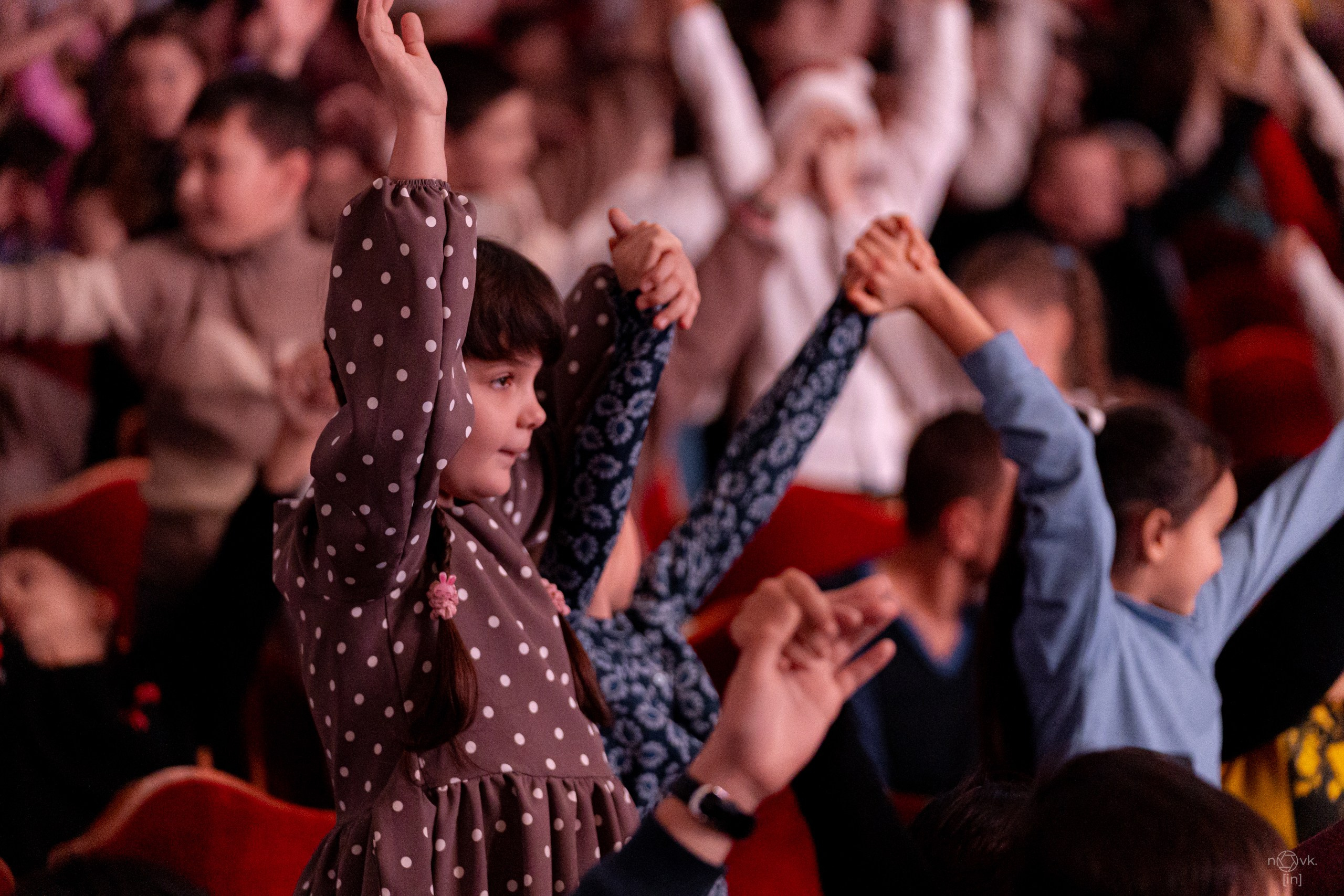 Ёлка. ФОТОГРАФ ИВАН НОВИКОВ | СТАВРОПОЛЬ