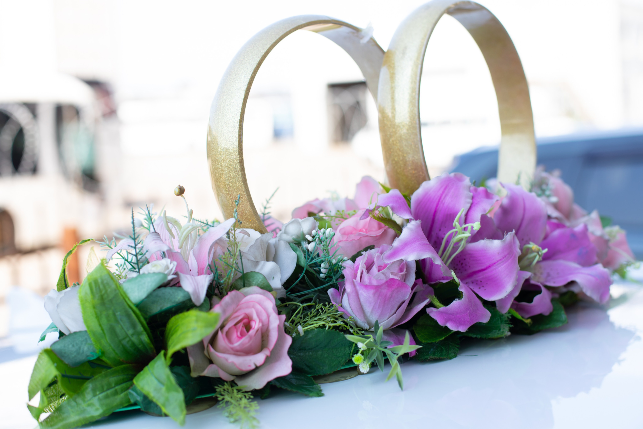 Репортажи. Свадьбы. Роспись в ЗАГСе. Фотограф Самара, Санкт-Петербург Татьяна Гузева. Женские портреты. Контент