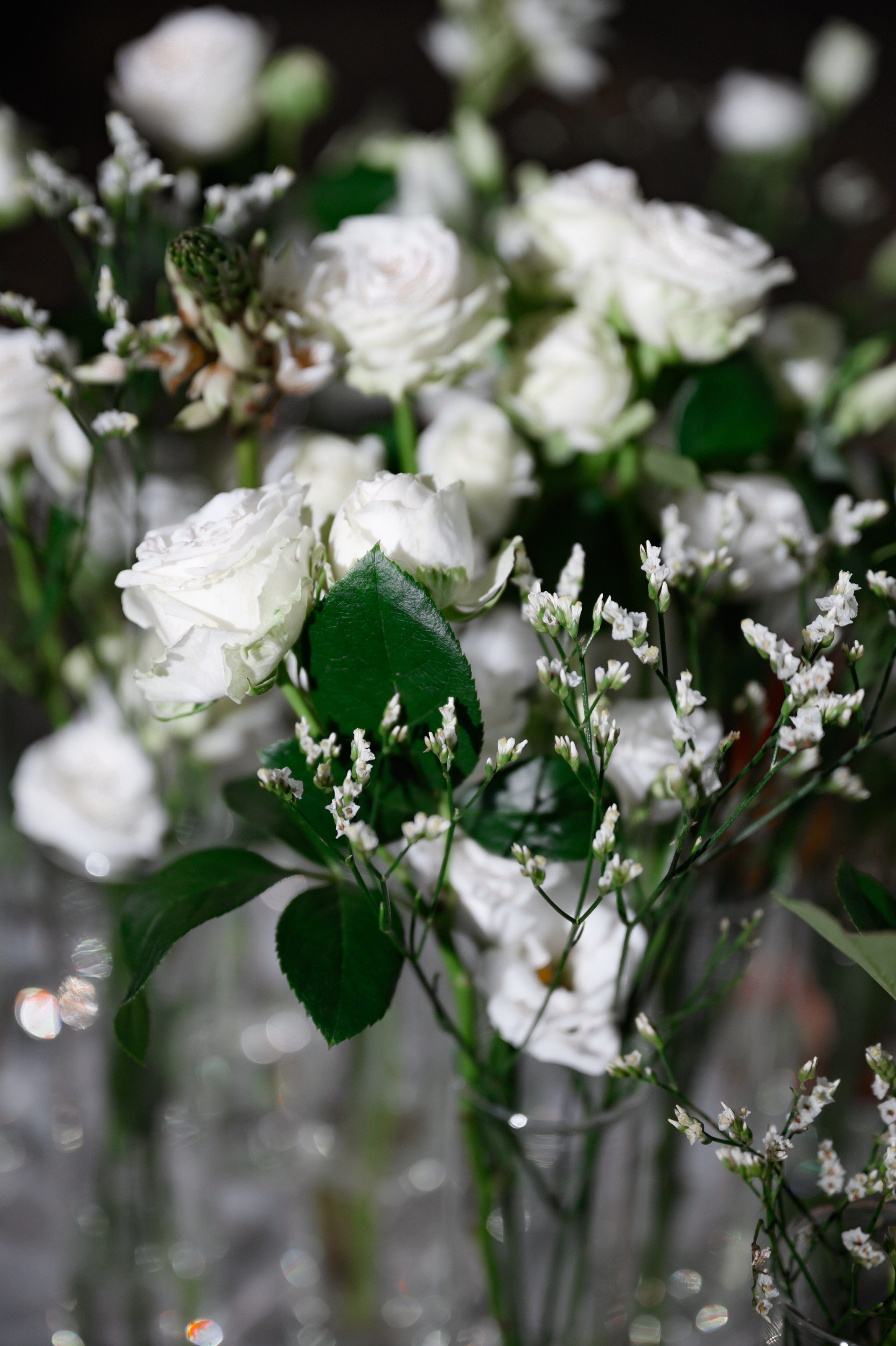 23.08.2024. RETOUCH-HOUSE