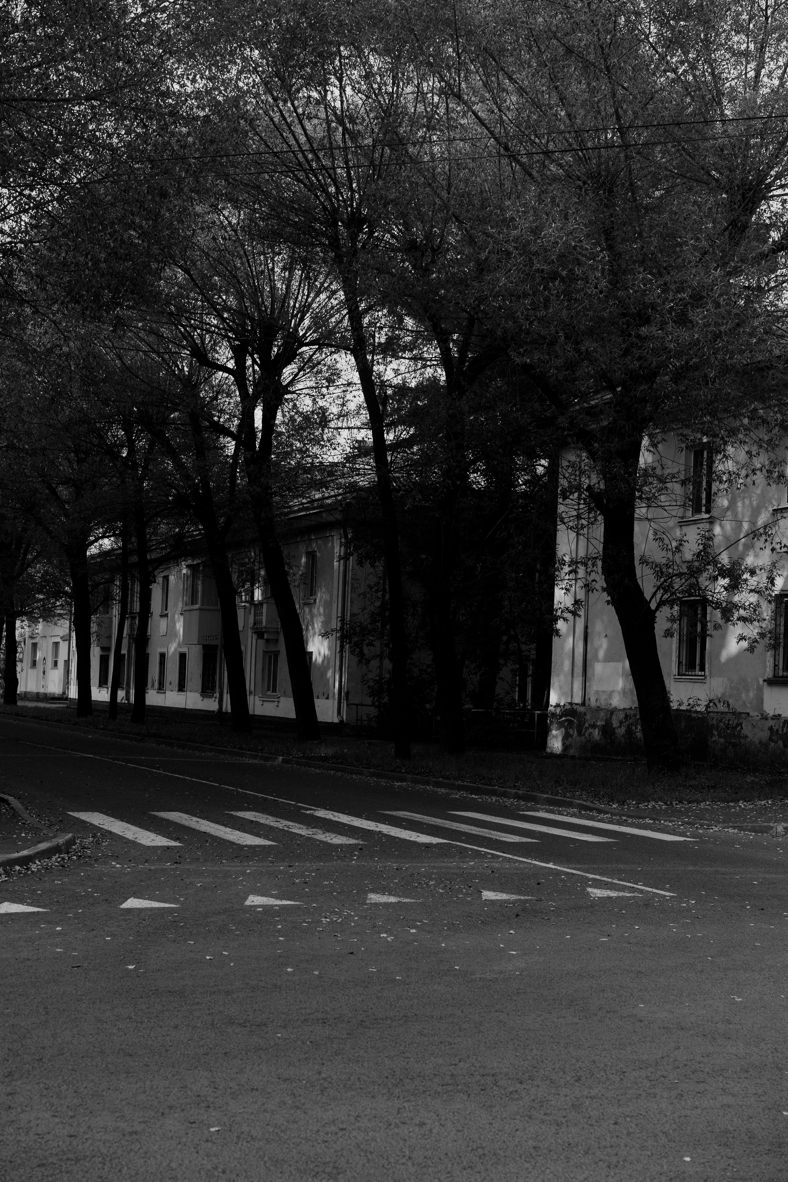 Северск. Veronika Popadeikina Photographer