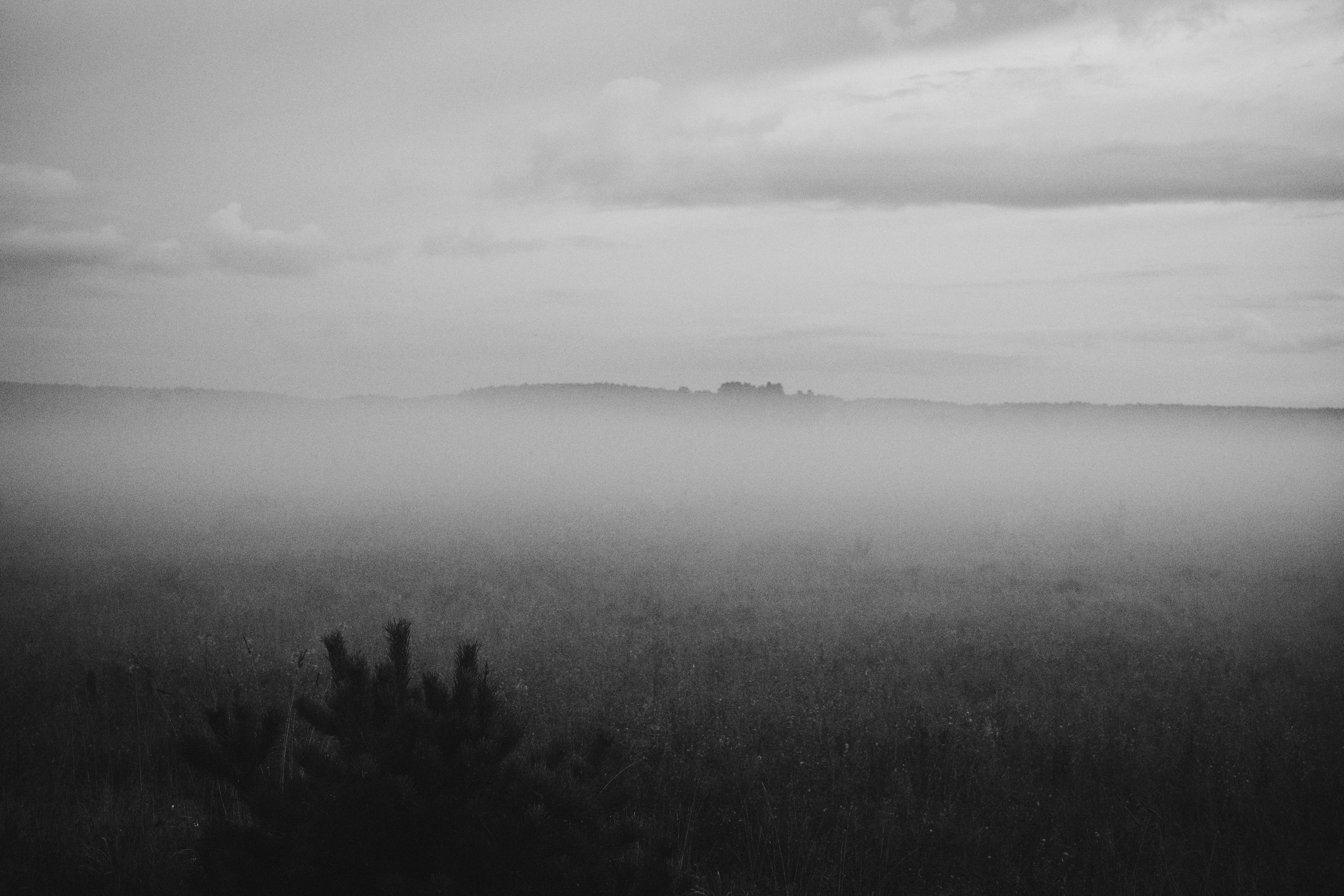 Эушта (Томская область). Veronika Popadeikina Photographer