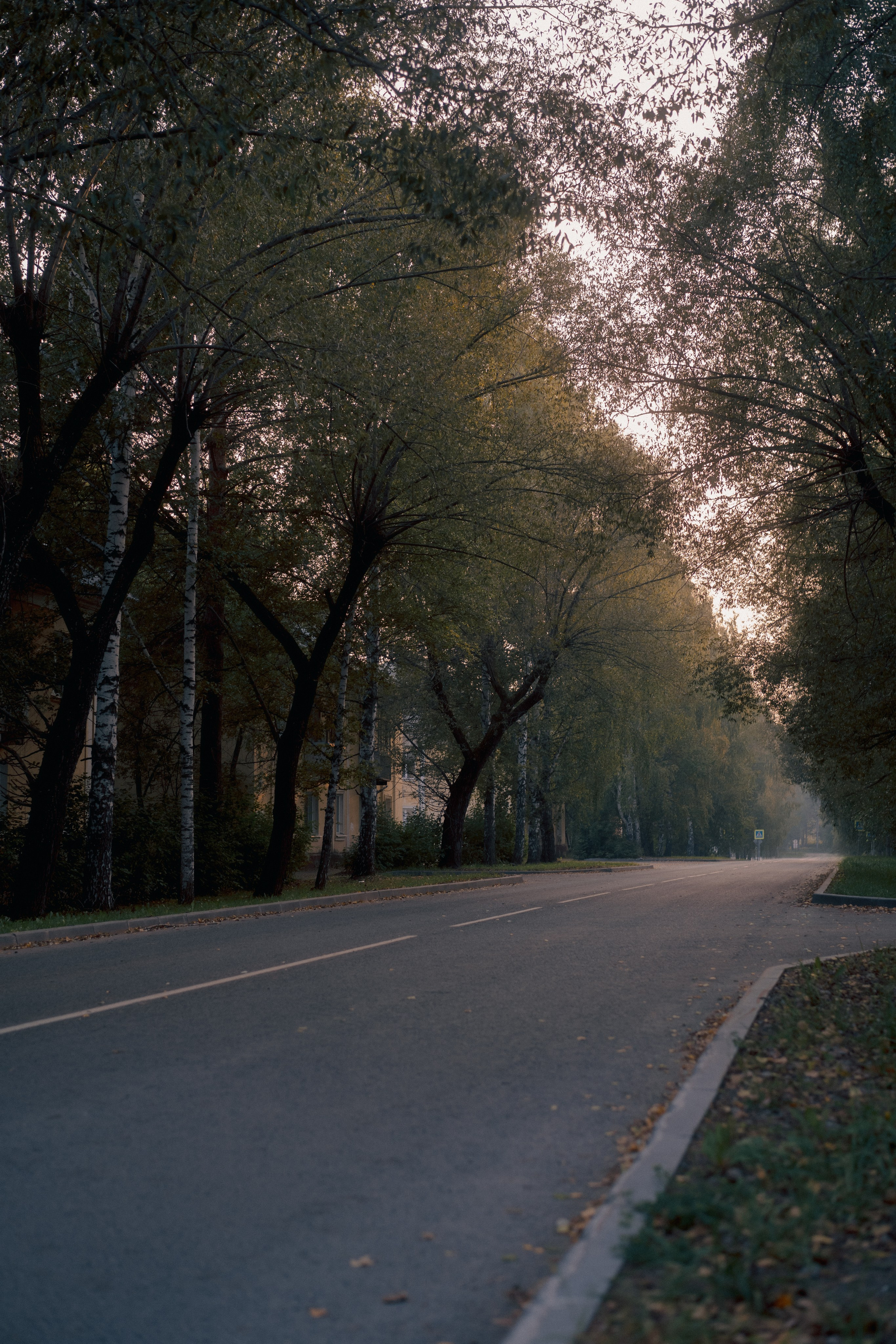 Северск. Veronika Popadeikina Photographer