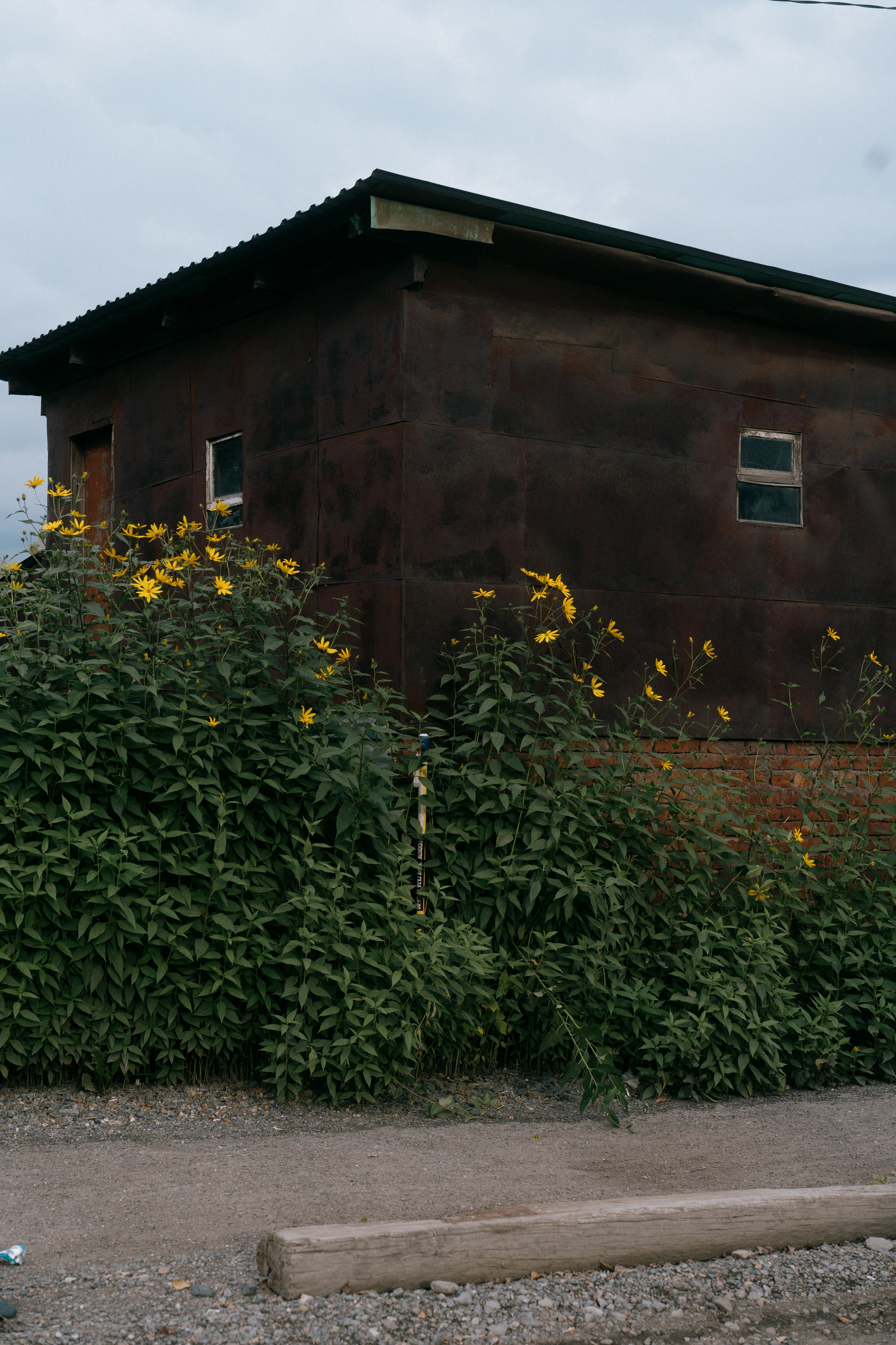 Район Черемошники, Томск. Veronika Popadeikina Photographer