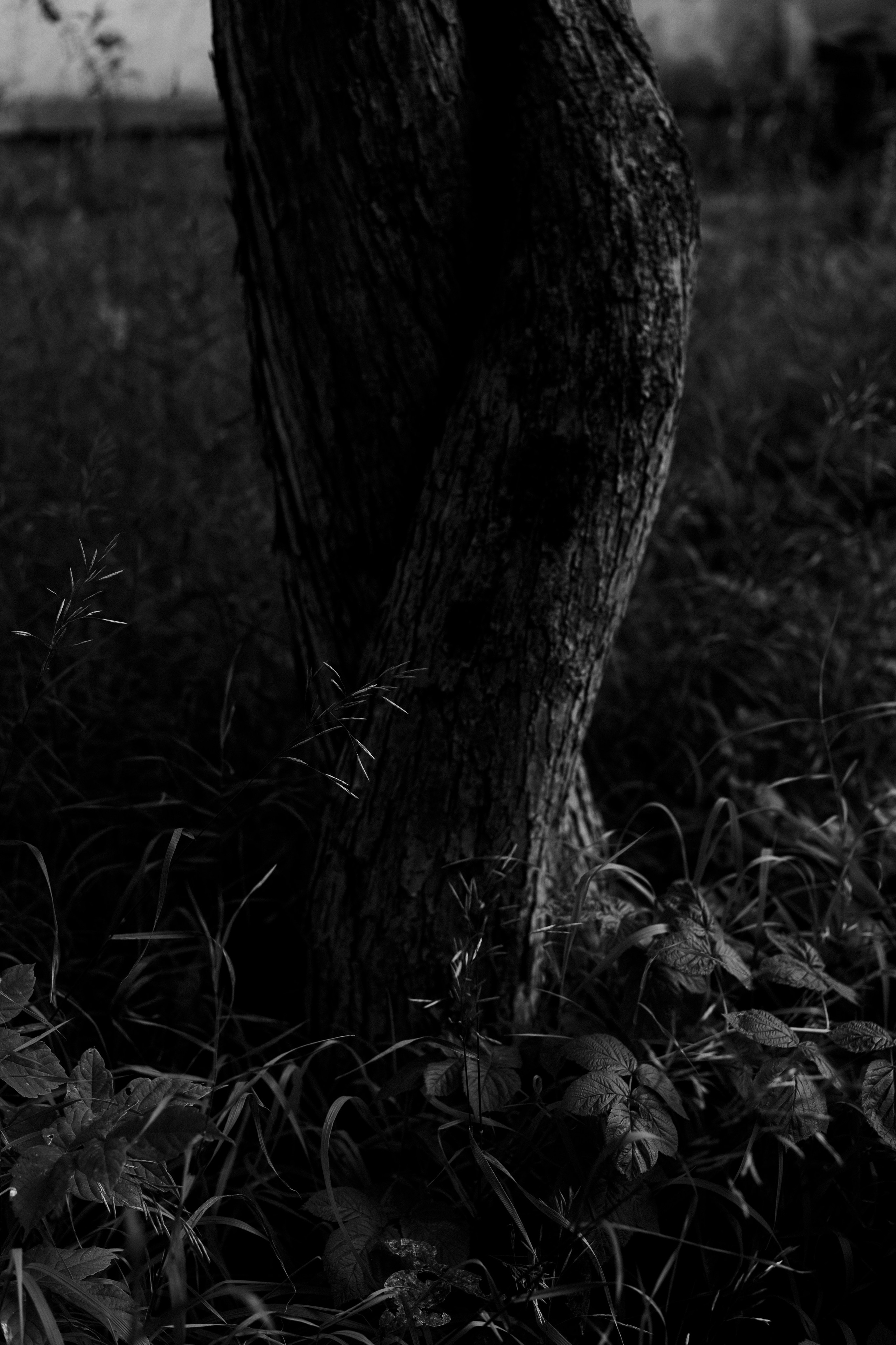 Северск. Veronika Popadeikina Photographer