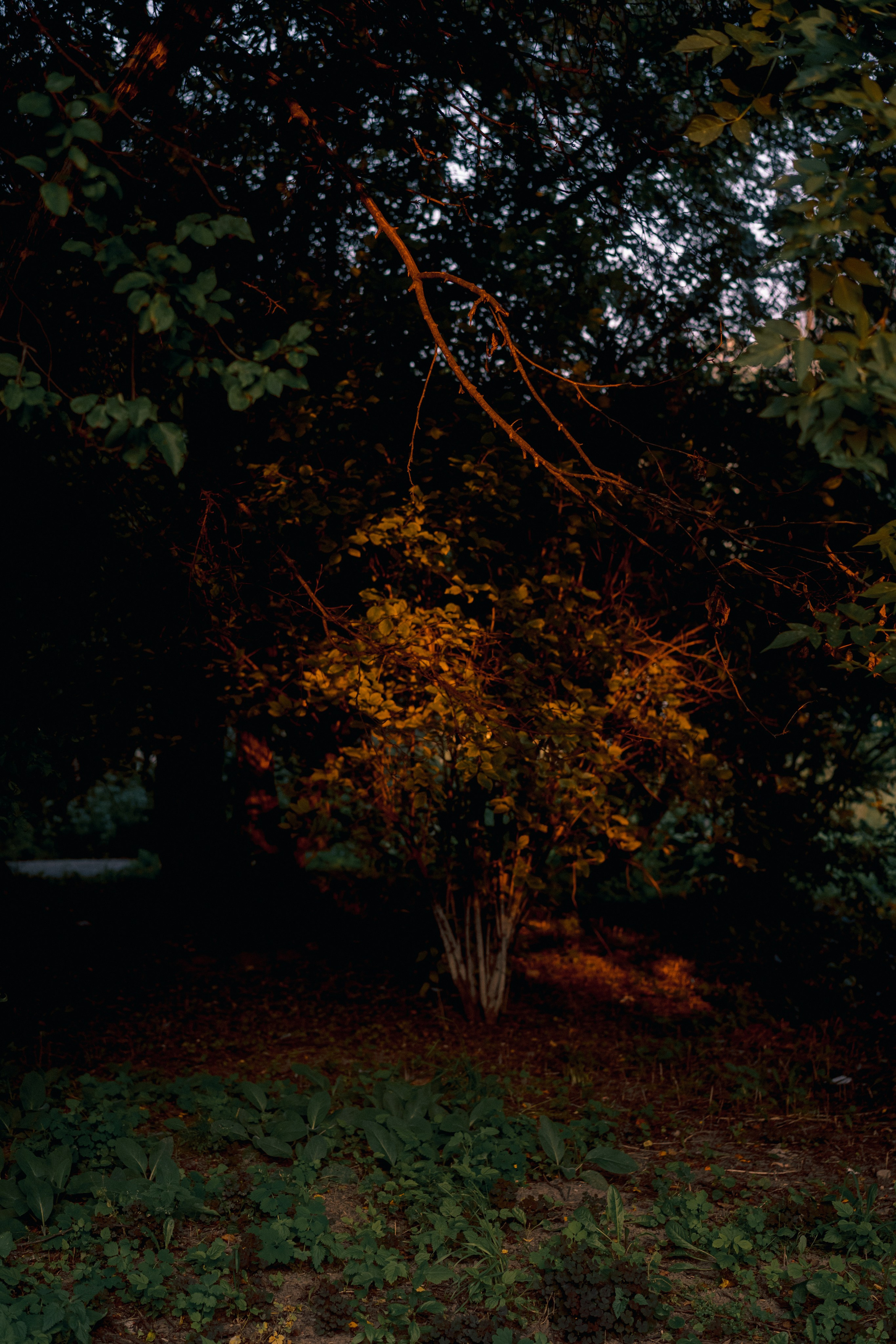 Северск. Veronika Popadeikina Photographer