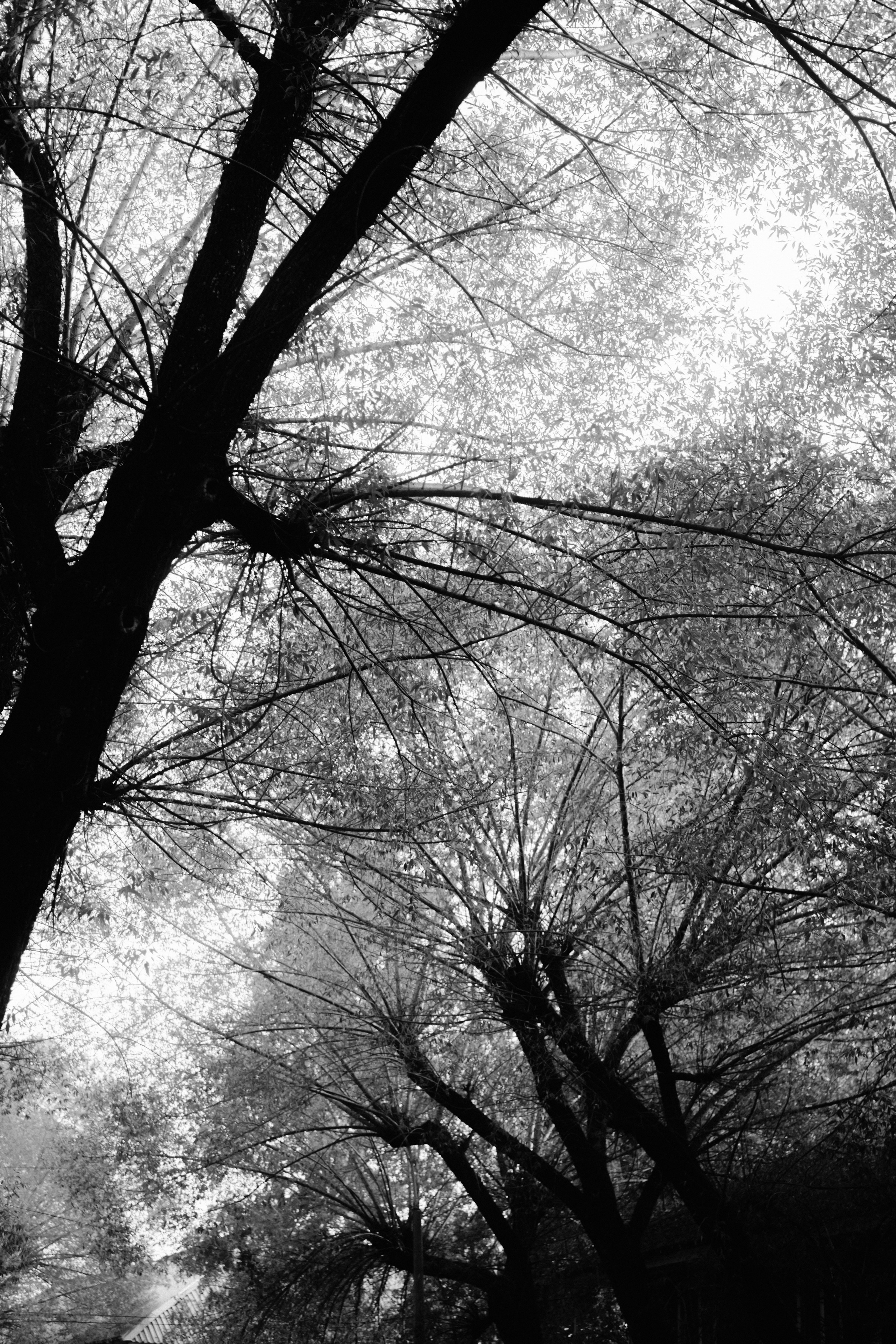 Северск. Veronika Popadeikina Photographer